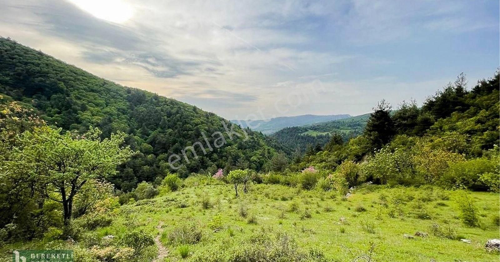 Kepsut Kayaeli Satılık Konut İmarlı Balıkesir Kepsut Kayaeli Mahallesinde Satılık Tarla