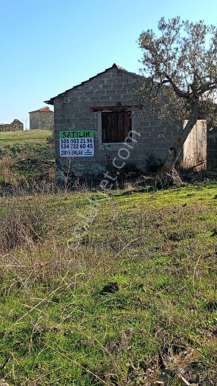 Bergama Bozköy Satılık Bağ & Bahçe Bozköy De Büyük Parsel Zeytinlik