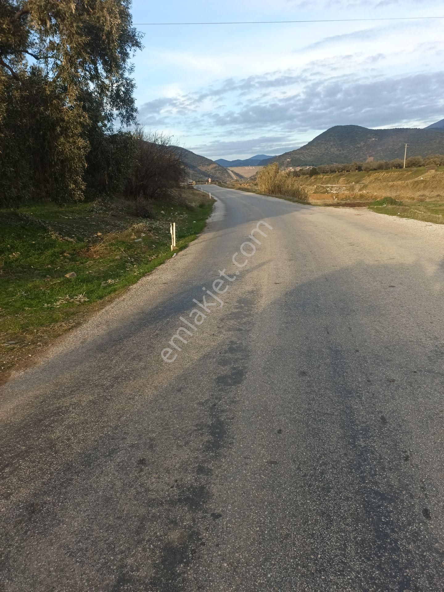 İzmir Torbalı Gold Emlaktan Satılık Harika Zeytin Bahçesi - Görsel 2