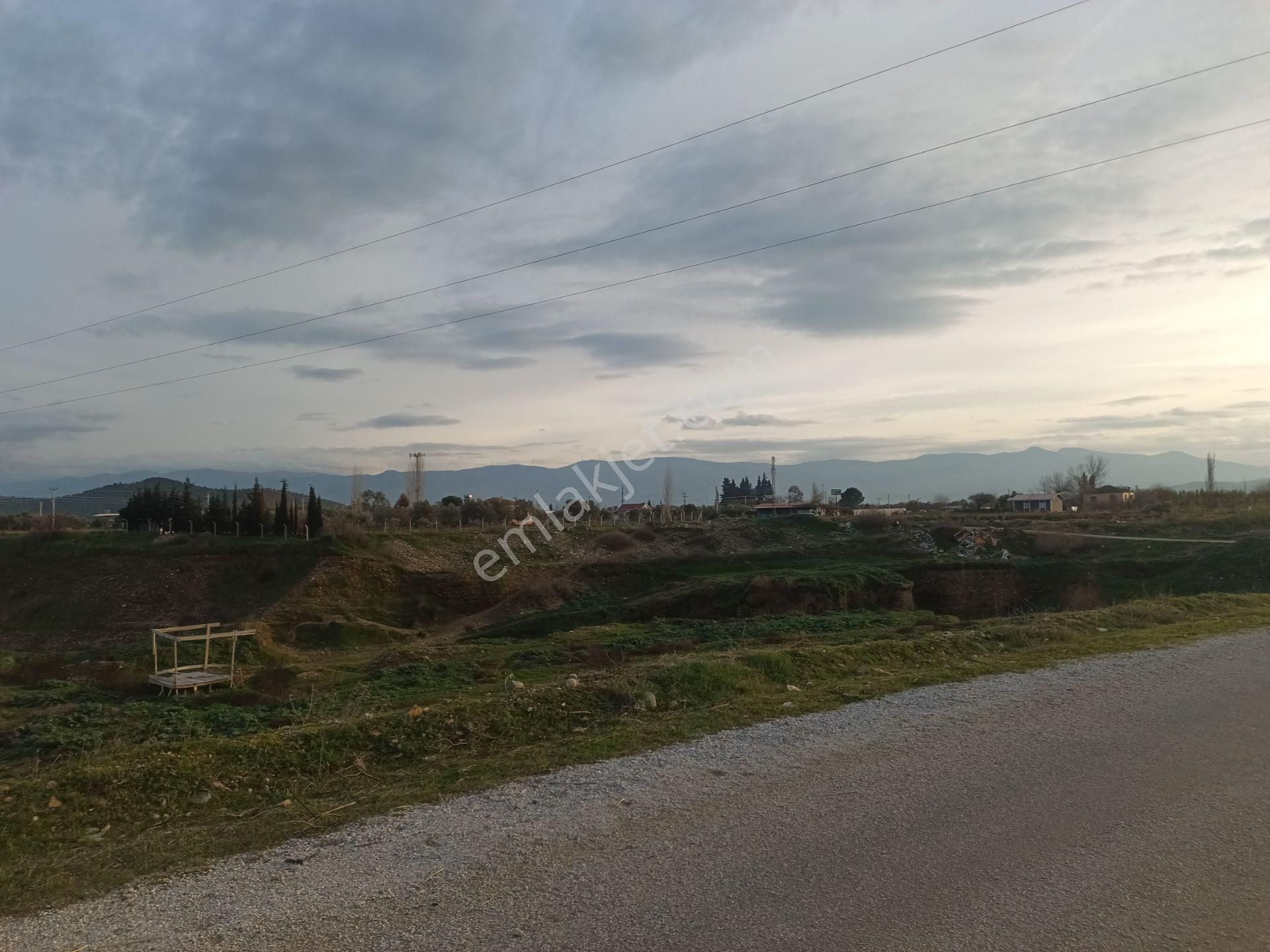 İzmir Torbalı Gold Emlaktan Satılık Harika Zeytin Bahçesi - Görsel 4