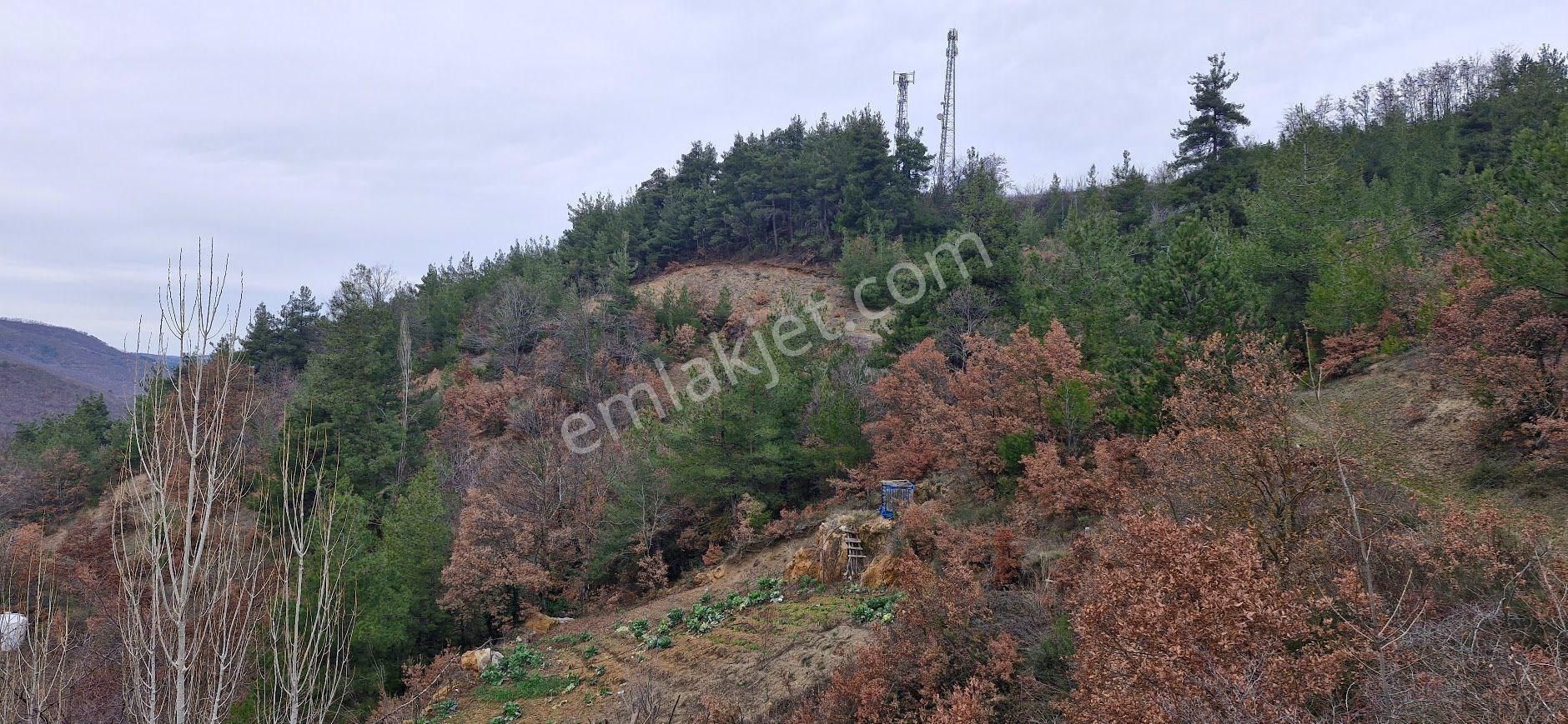 Osmangazi Çaybaşı Satılık Tarla Osmangazi Çaybaşı Mah Satılık Tarla