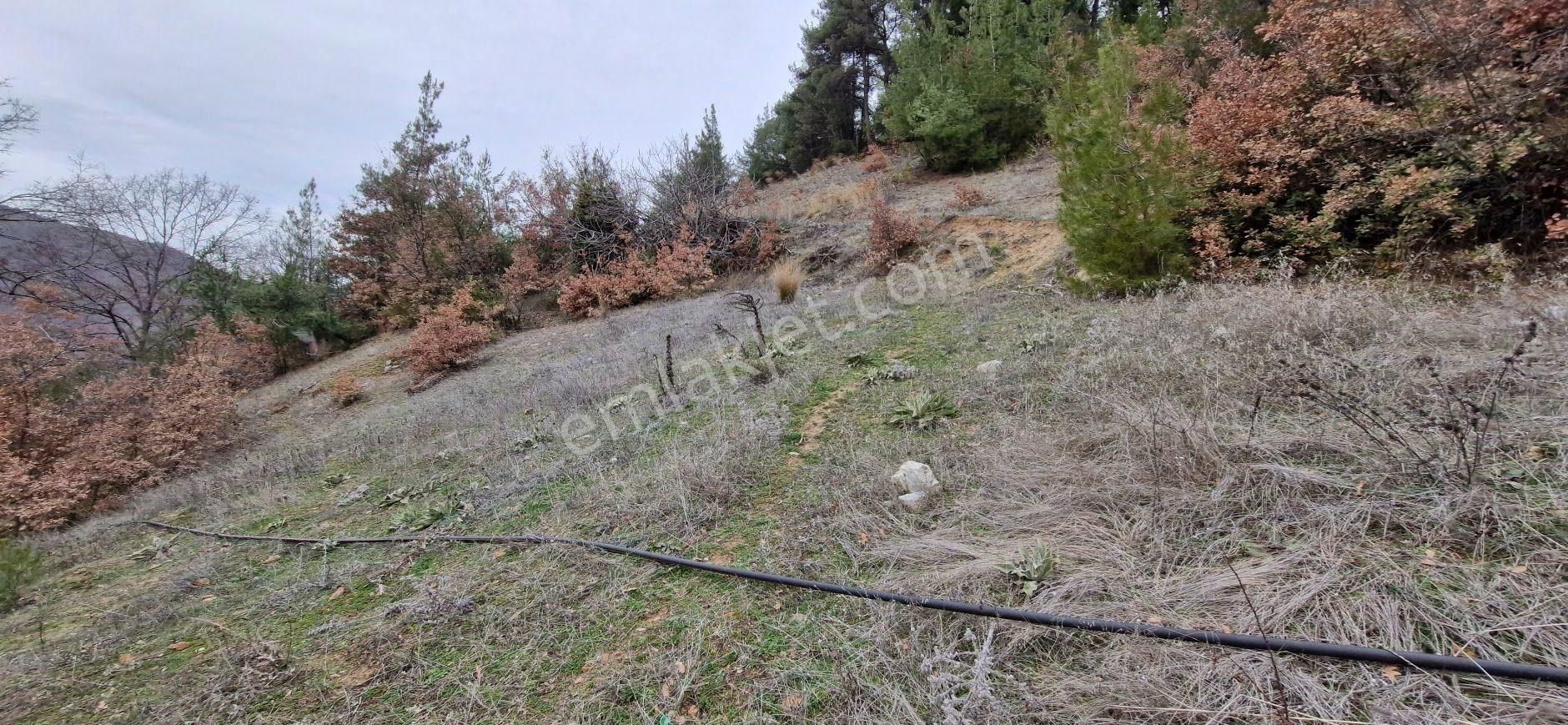 Osmangazi Çaybaşı Mah Satılık Tarla