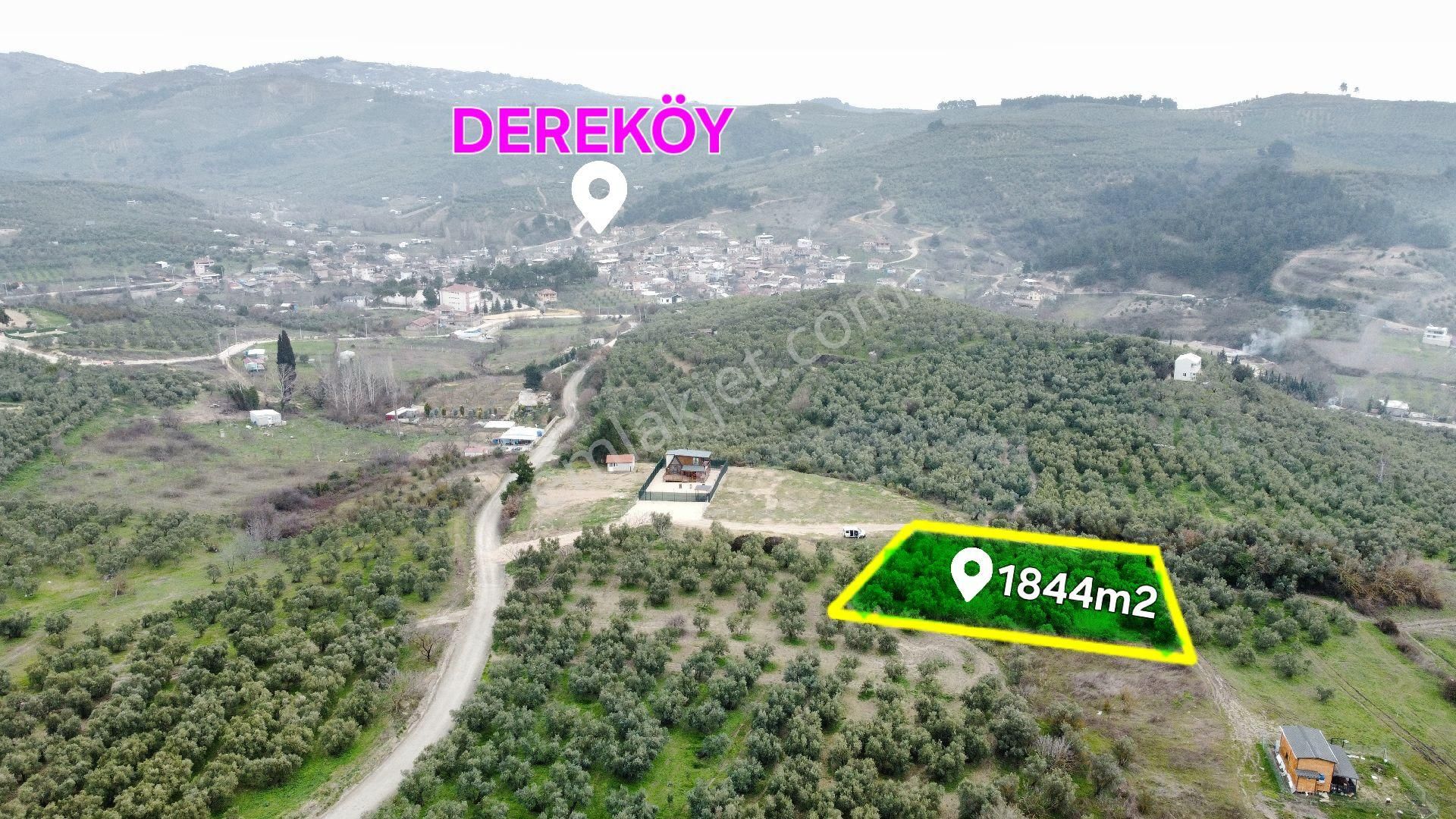 Mudanya Dereköy Satılık Zeytinlik Bursa Mudanya Dereköyde Kupon Yer