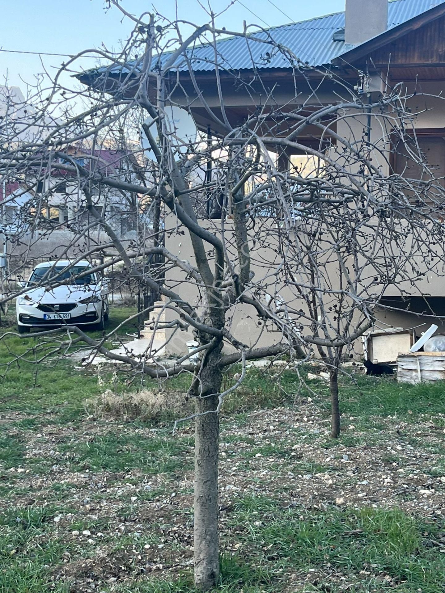 Çamlıyayla Fakılar Satılık Müstakil Ev Sahibinden Satılık 860m2 Arsa İçinde Masrafsız Ev