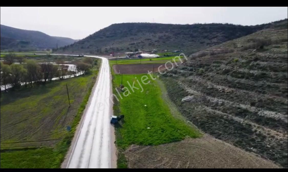 Seyitgazi Çatören Satılık Tarla Satılık Arazı