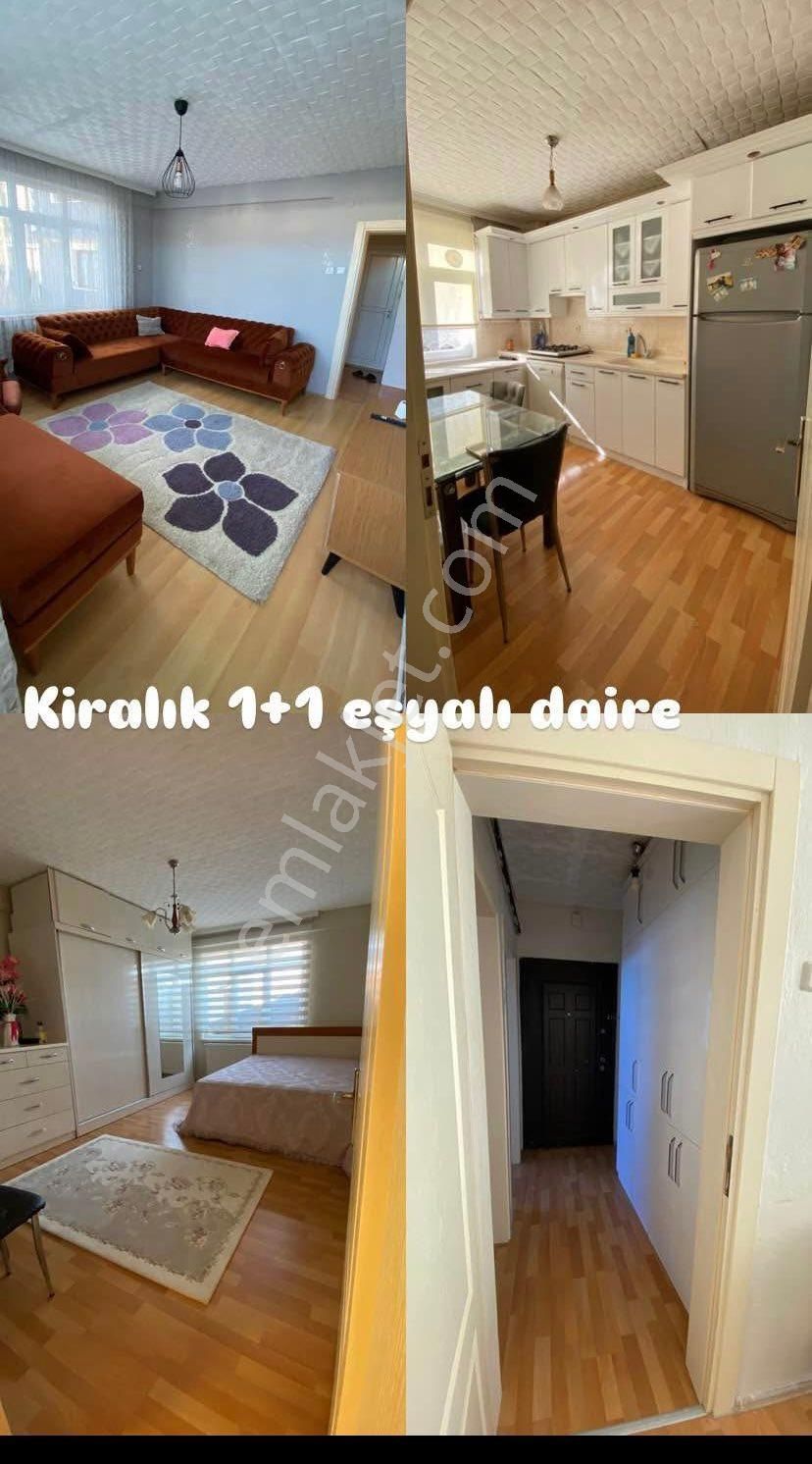 Altınordu Selimiye Kiralık Daire Selimiye Kiralık Daire