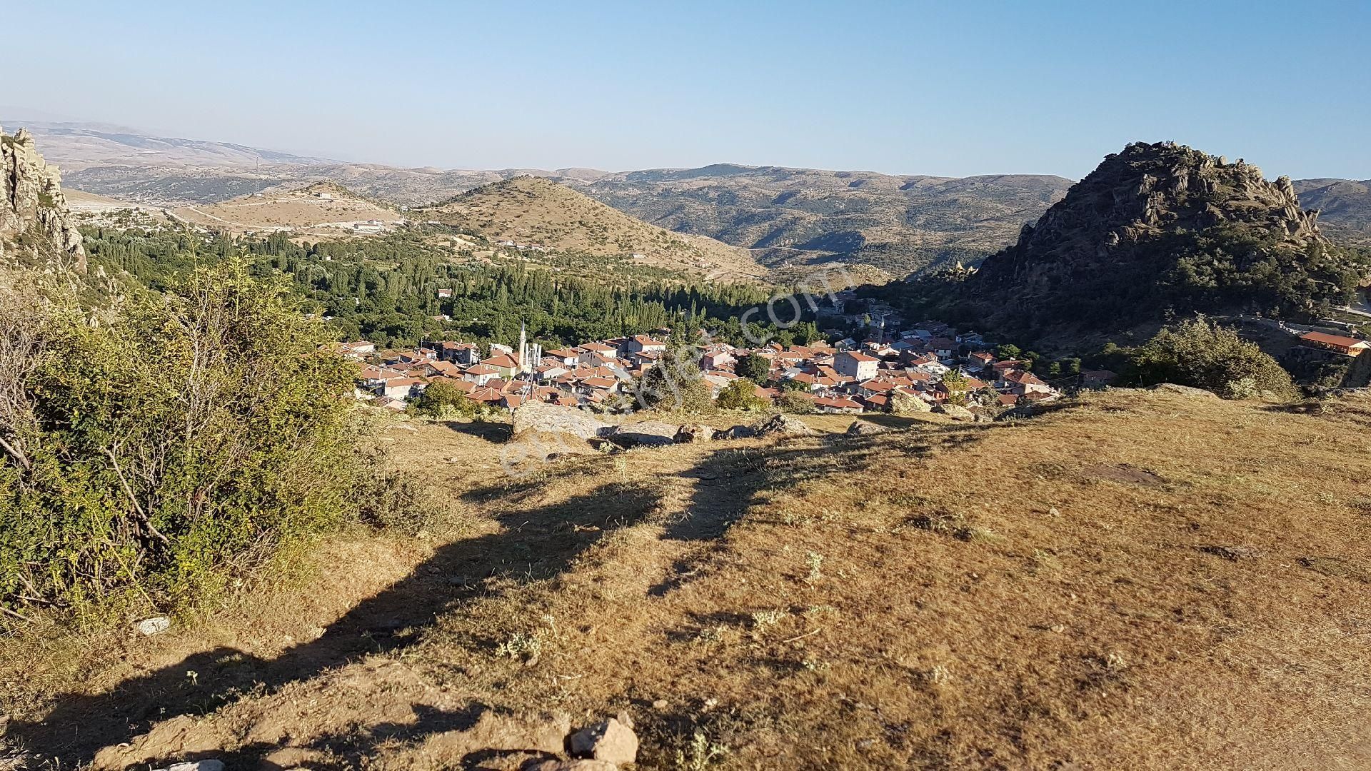 Afyonkarahisar Merkez Kocatepe Bld. (Merkez) Satılık Tarla Söğüt Emlak'tan Büyükkalecikte Satılık Arazi