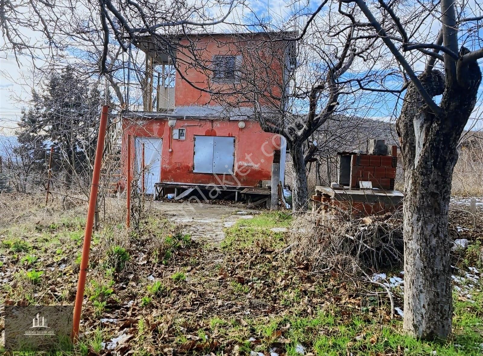 Zile Saraç Köyü Satılık Bağ & Bahçe Saraç Köyünde Satılık Bağ