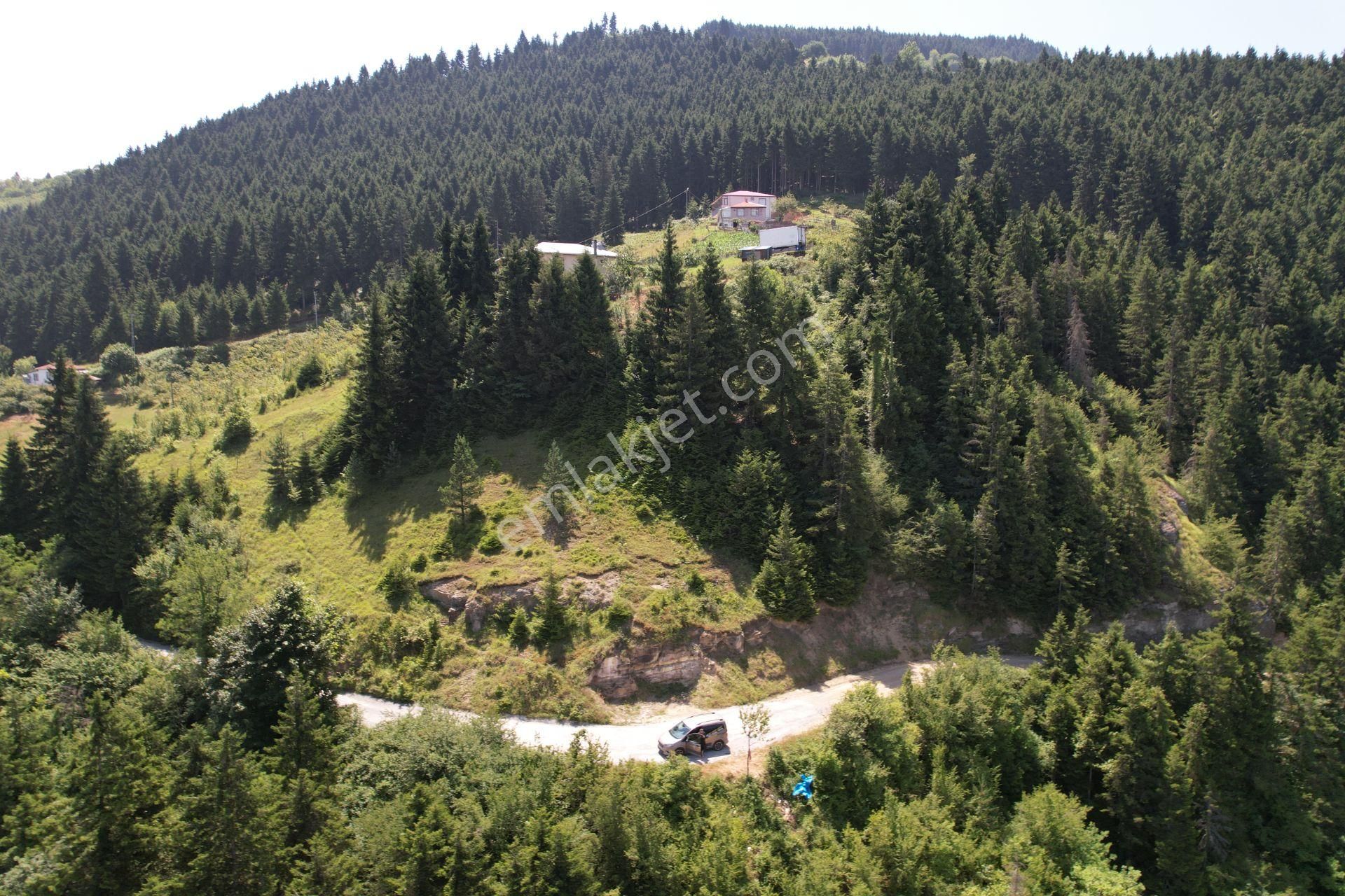 Maçka Ortaköy Satılık Tarla Trabzon Maçka Ortaköy'da Satılık Arsa