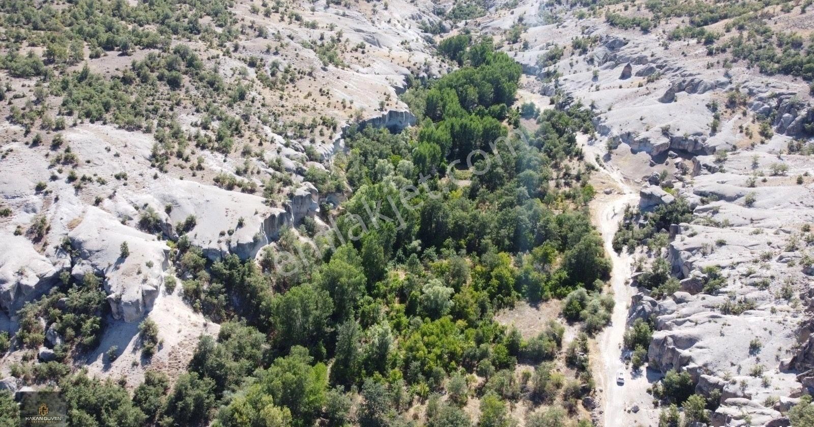 Böyle Büyük Bahçe Yok Meram Güneyderede 1.170 M2 Müstakil - Görsel 20