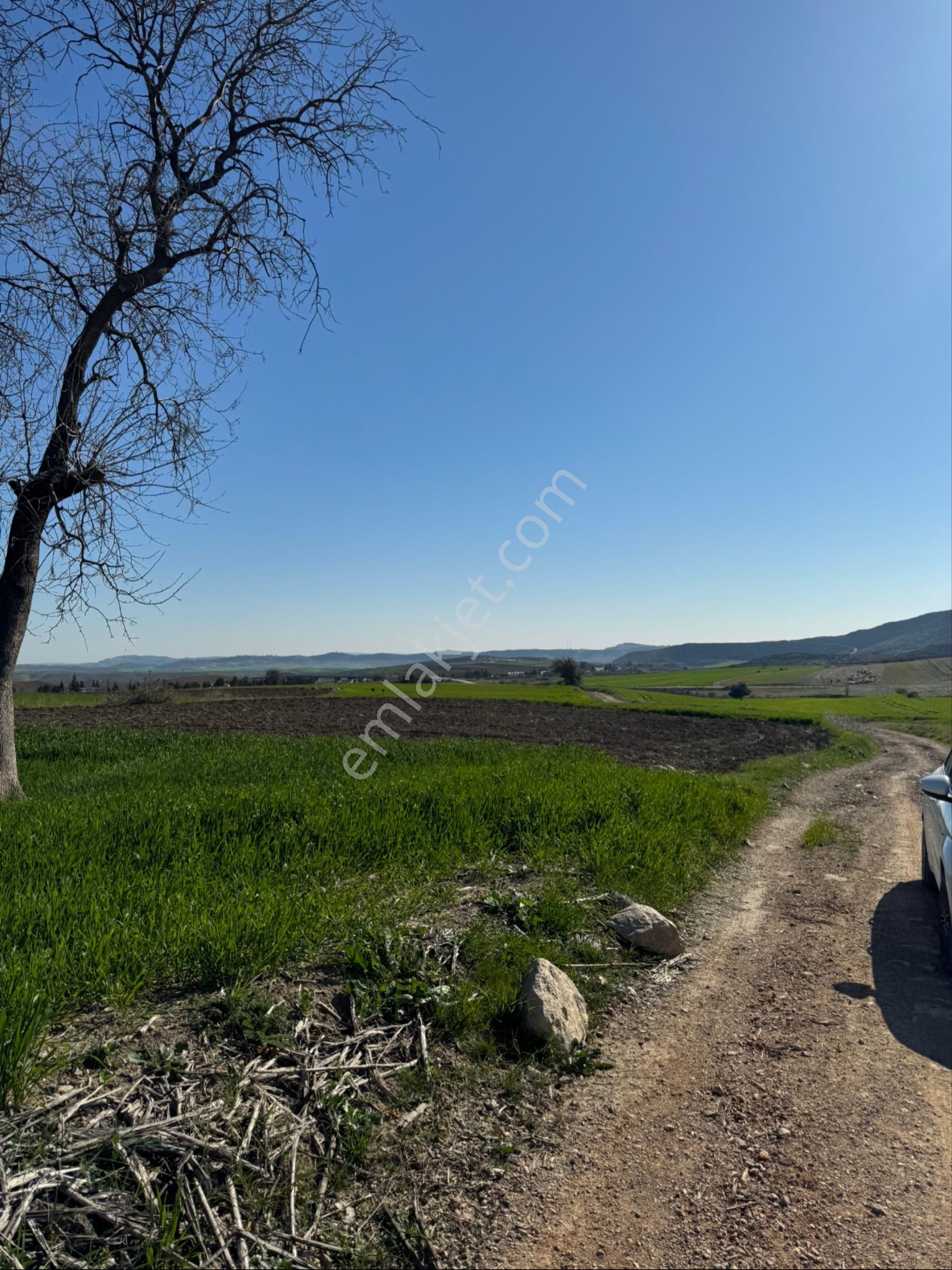 Tarsus Kadelli Satılık Tarla Satılık Tarla