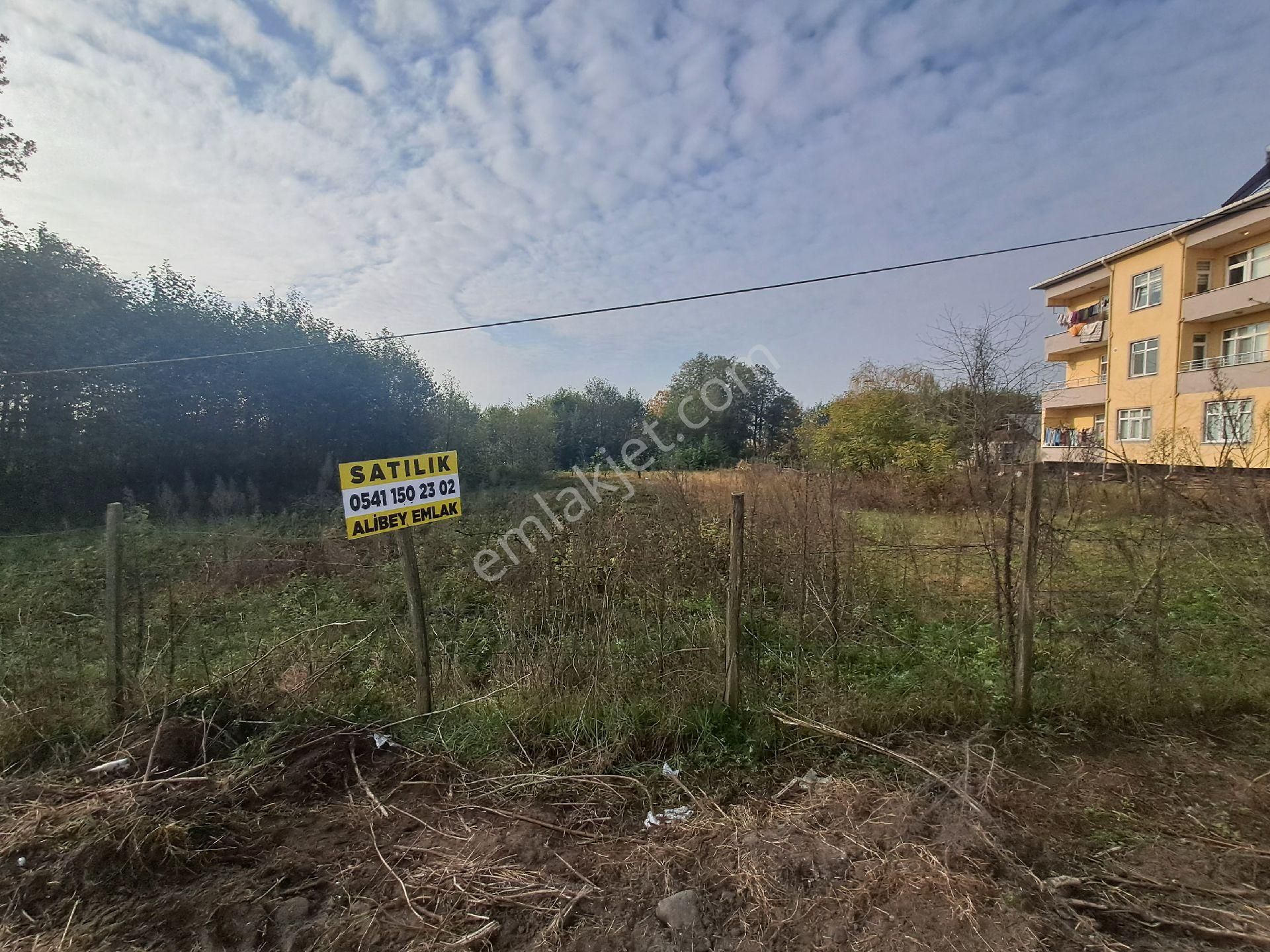 Alibey'den Samsun Ordu Karayoluna Cephe 2600m2 Ticari İmarlı Arsa - Görsel 16