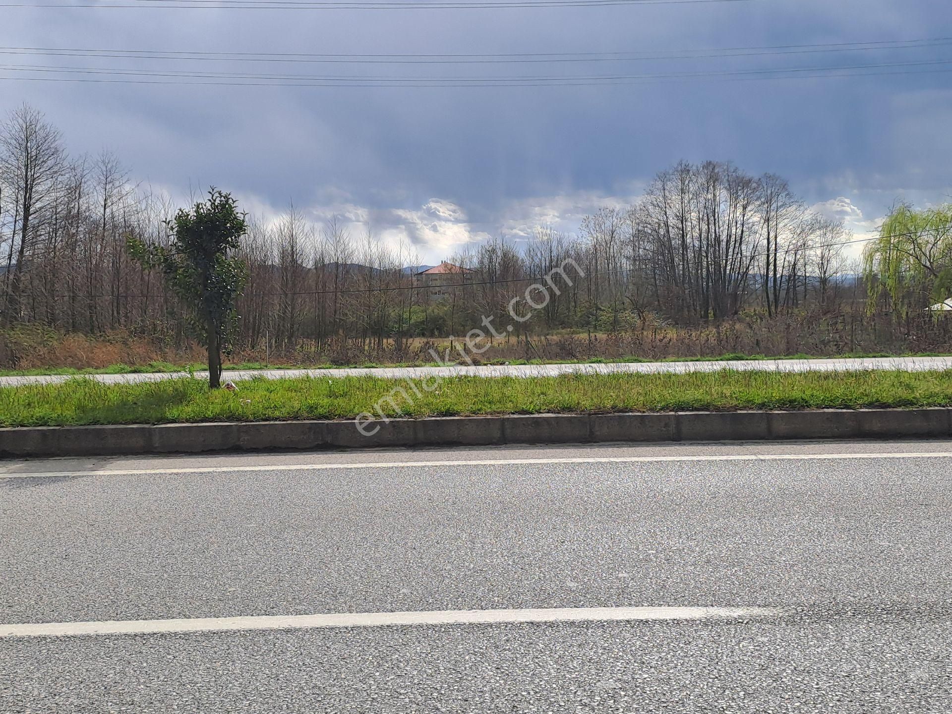 Alibey'den Samsun Ordu Karayoluna Cephe 2600m2 Ticari İmarlı Arsa - Görsel 18