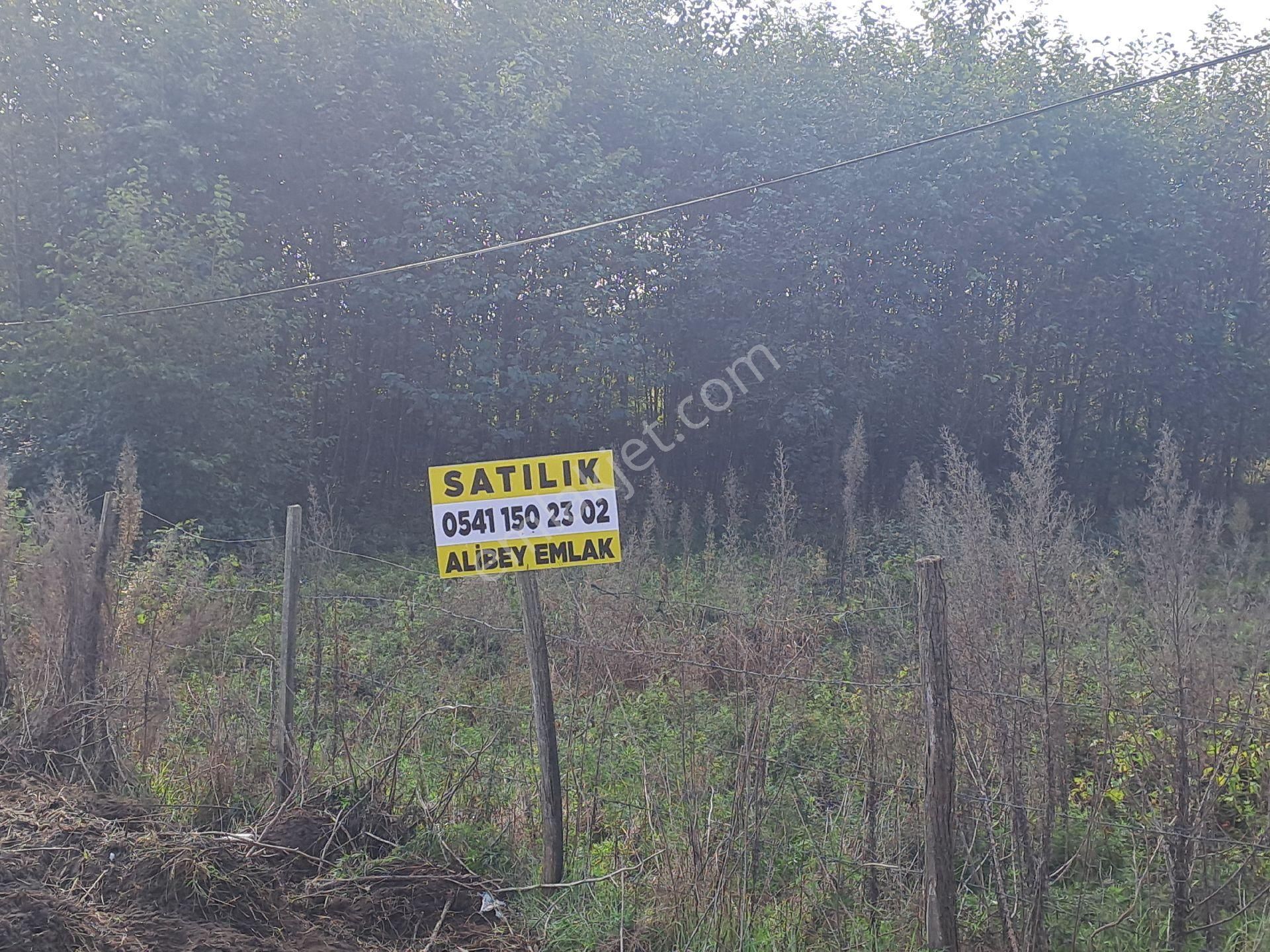 Alibey'den Samsun Ordu Karayoluna Cephe 2600m2 Ticari İmarlı Arsa - Görsel 12