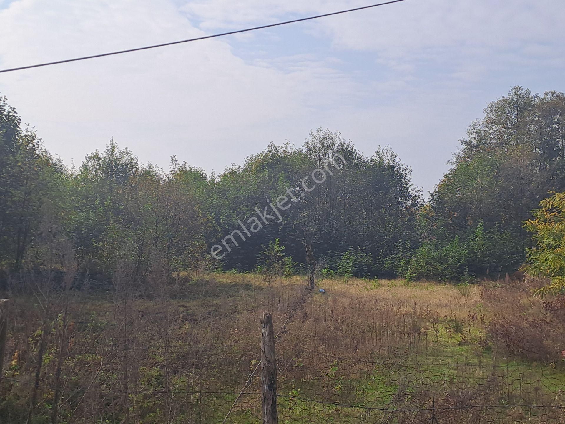 Alibey'den Samsun Ordu Karayoluna Cephe 2600m2 Ticari İmarlı Arsa - Görsel 2