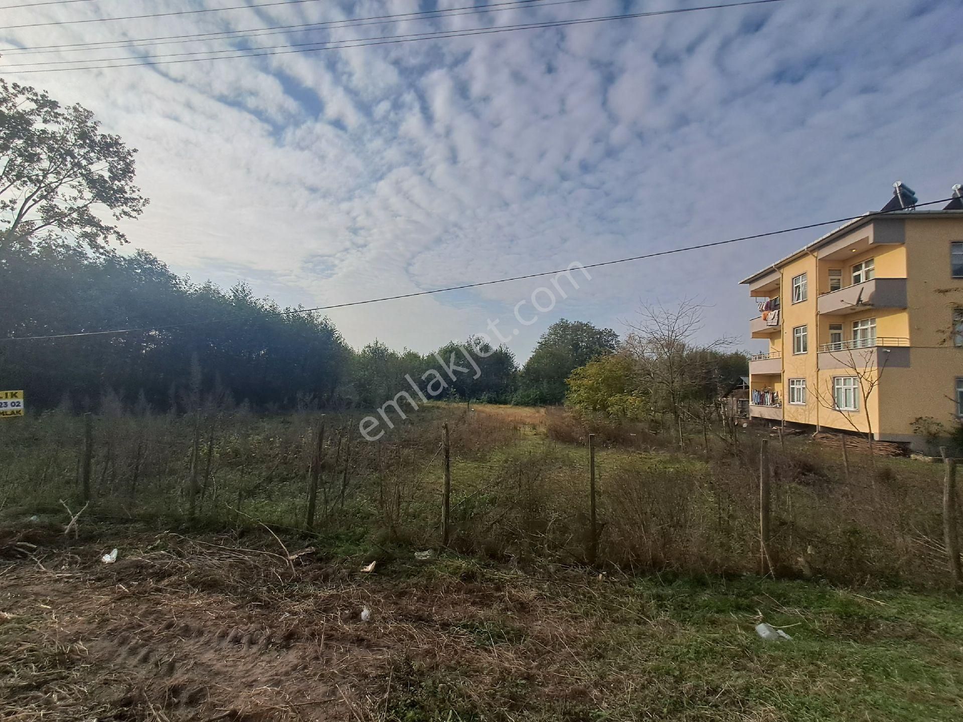 Alibey'den Samsun Ordu Karayoluna Cephe 2600m2 Ticari İmarlı Arsa - Görsel 3