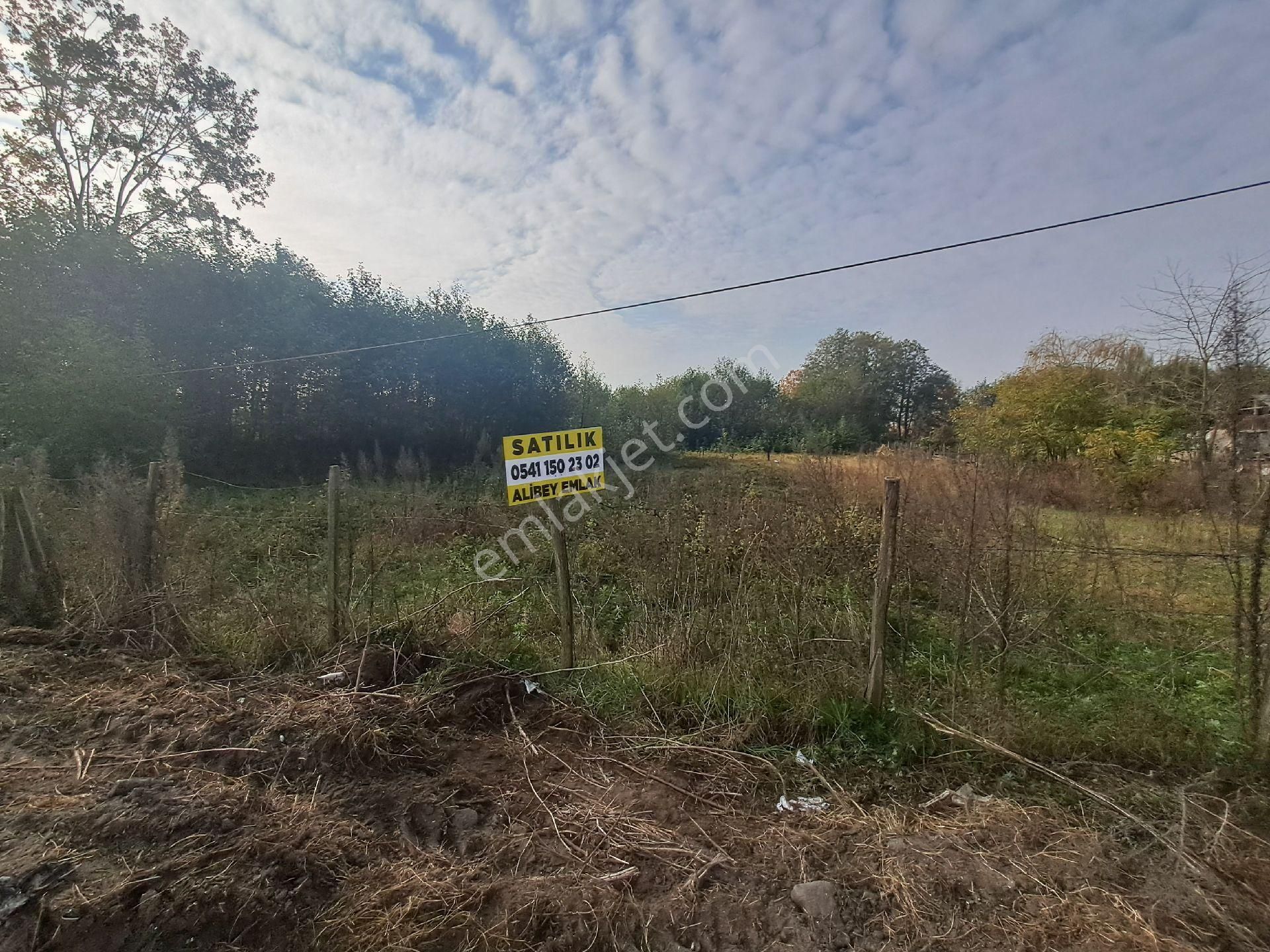 Alibey'den Samsun Ordu Karayoluna Cephe 2600m2 Ticari İmarlı Arsa - Görsel 15