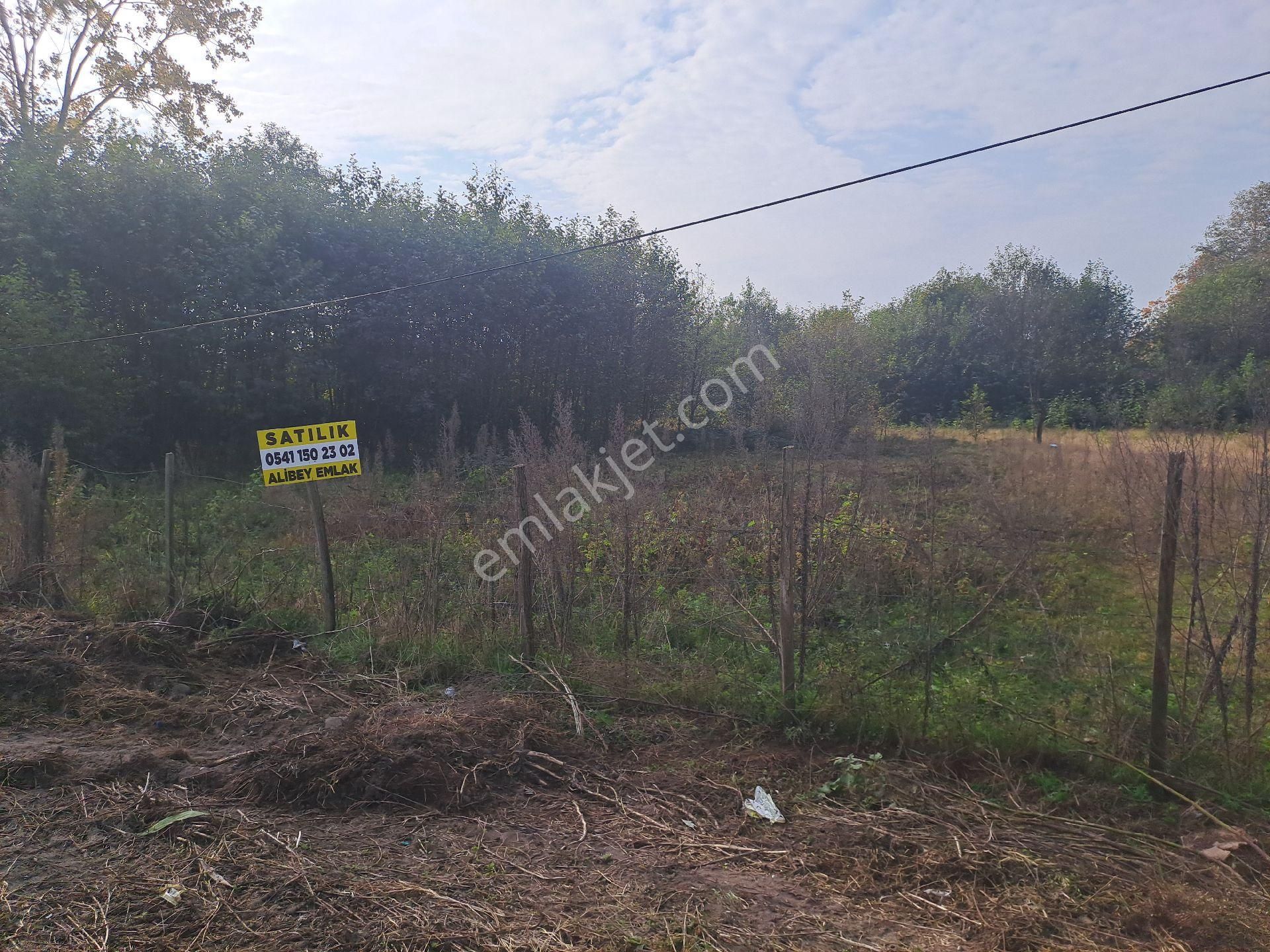 Alibey'den Samsun Ordu Karayoluna Cephe 2600m2 Ticari İmarlı Arsa - Görsel 13