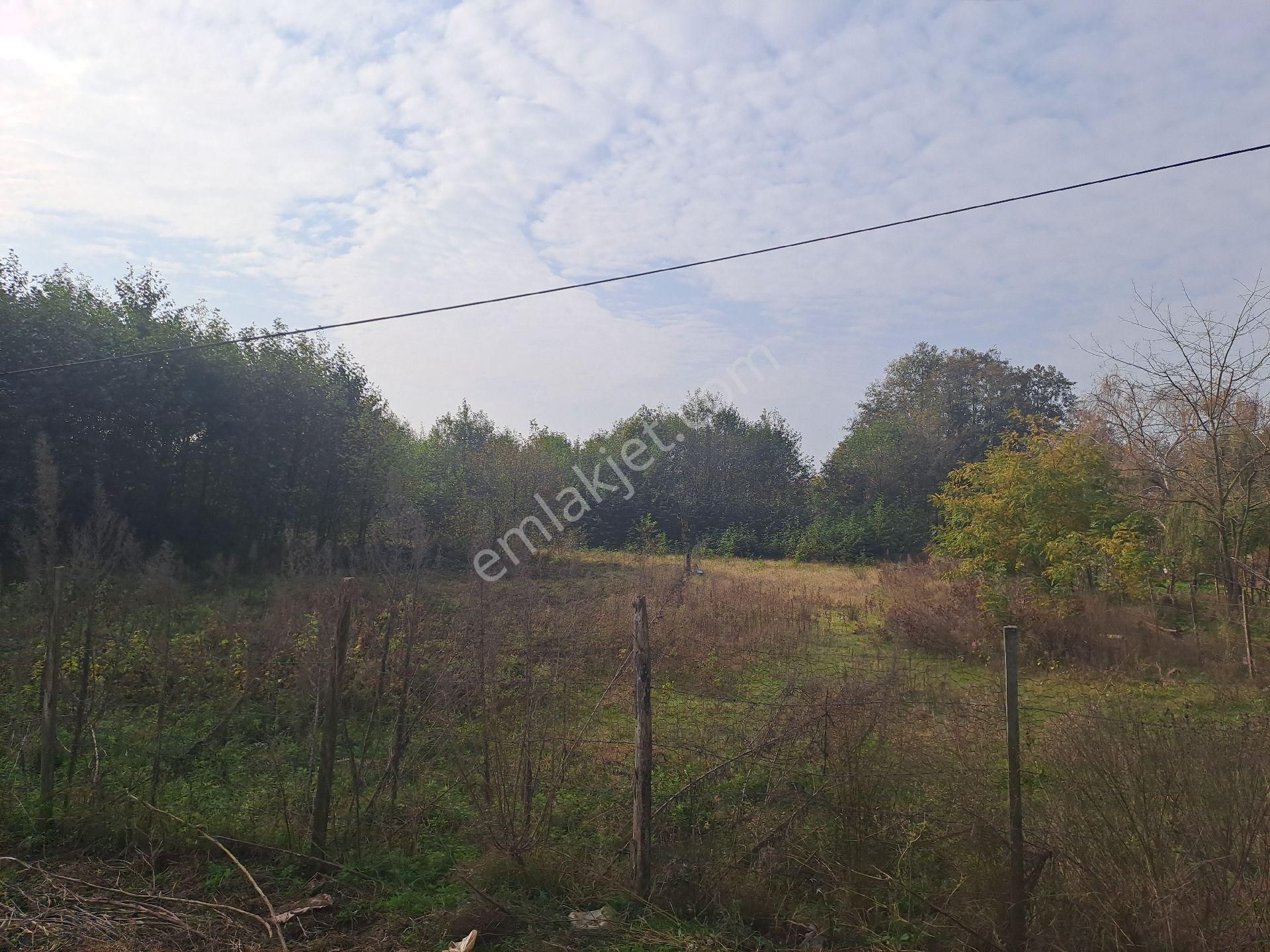 Alibey'den Samsun Ordu Karayoluna Cephe 2600m2 Ticari İmarlı Arsa - Görsel 4