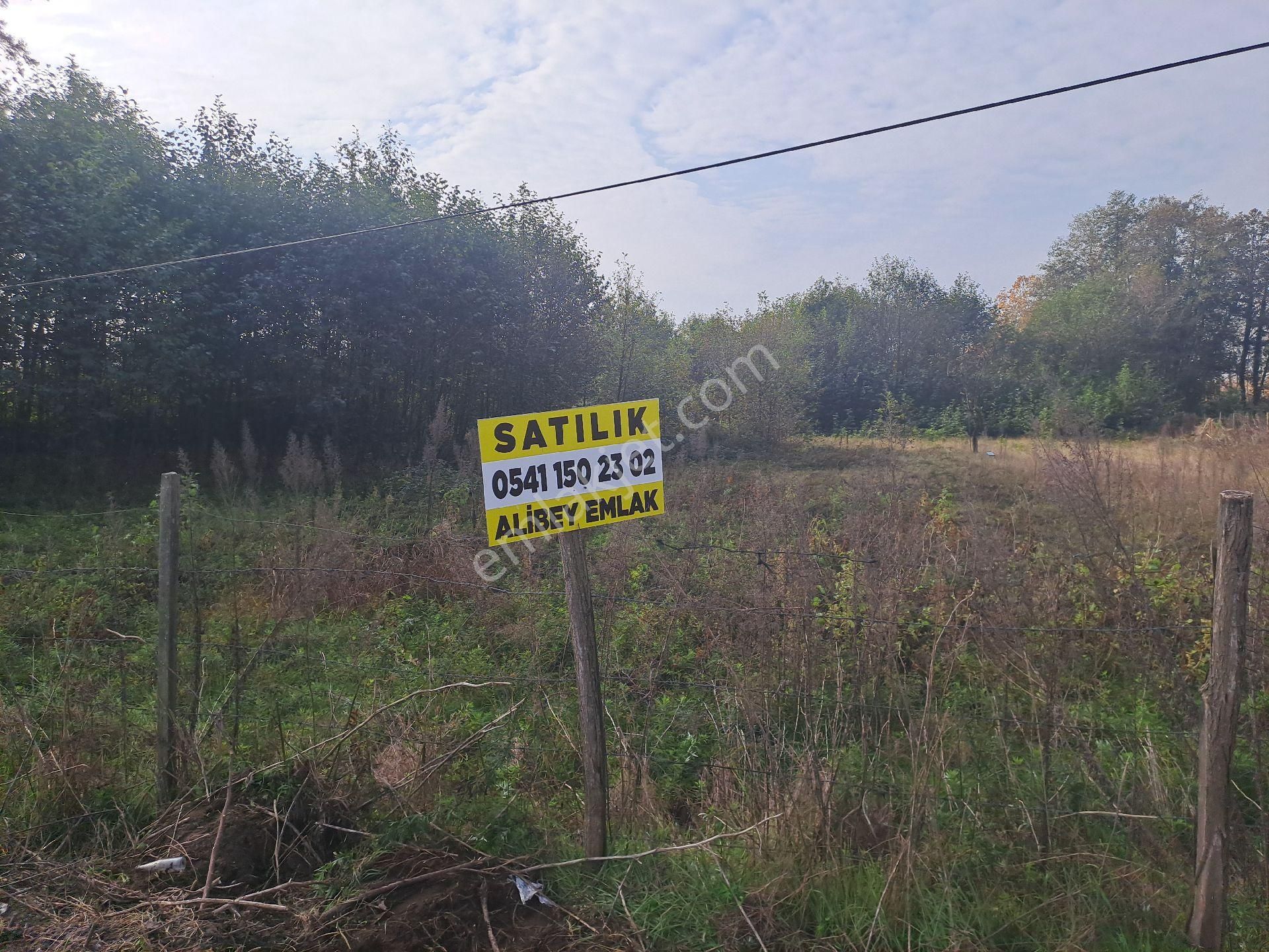 Alibey'den Samsun Ordu Karayoluna Cephe 2600m2 Ticari İmarlı Arsa - Görsel 14