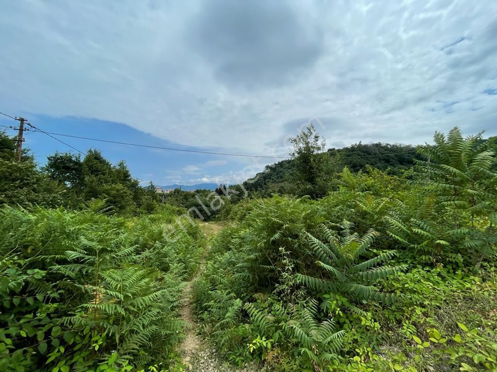 Beşikdüzü Adacık Satılık Konut İmarlı Trabzon Beşikdüzü'nde Sahile 500 Metre Mesafede Satılık Arsa