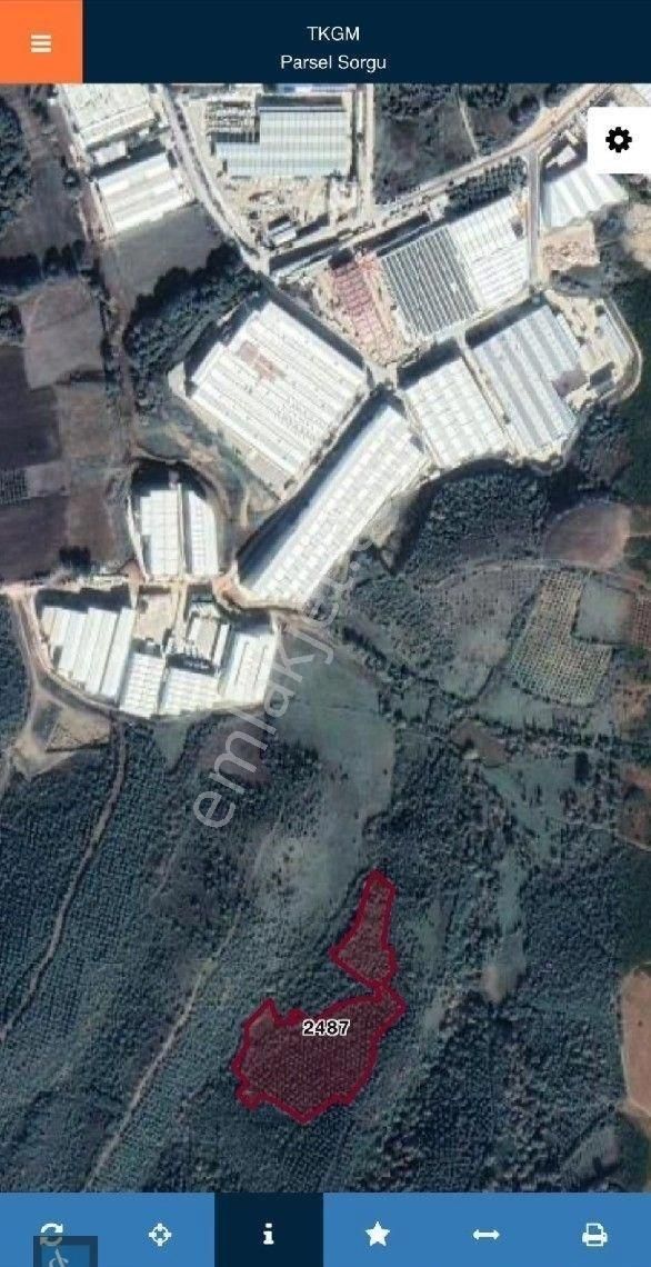 Hosaba 200 Metre Mesafe 20 Dönüm Yatırımlık Ticari Arazi - Görsel 3