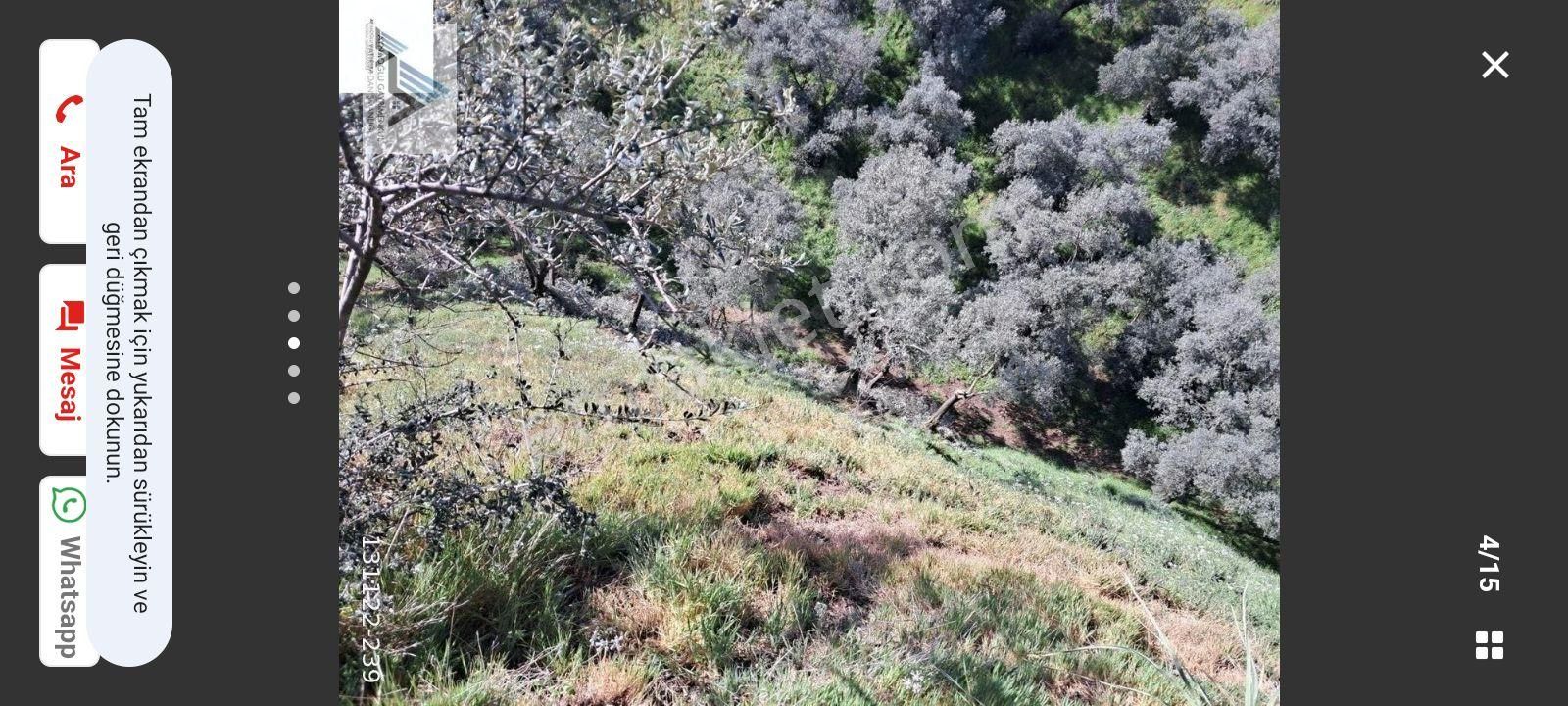 Sultanhisar Yağdere Satılık Tarla Atca Yagdere De 12 Donum Zeytınlık