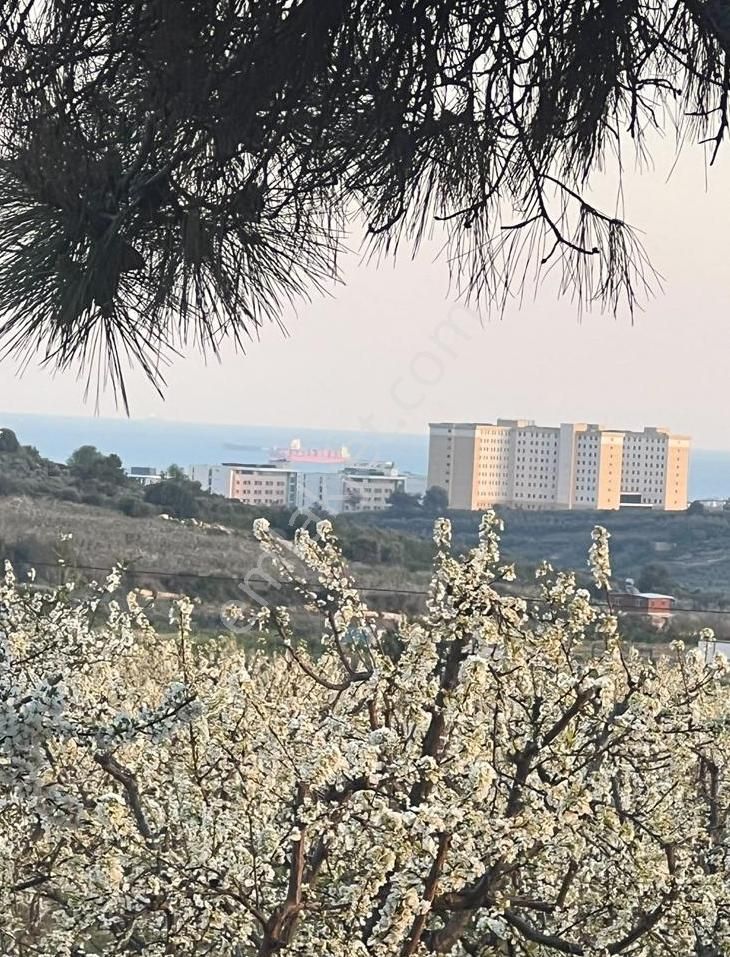 Mezitli Bozön Satılık Tarla Fa'dan Şehrin Yanı Başı Olan Mükemmel Yatırımlık Arsa