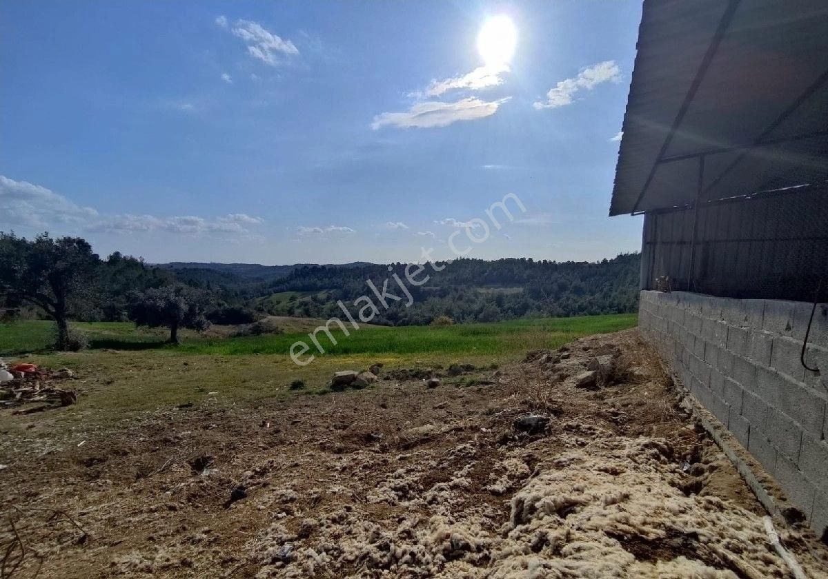 Adana Sarıçam Çiriş Gediği Köy Yakını 17 Dönüm Tapulu 23 Dönüm Toplam - Görsel 7