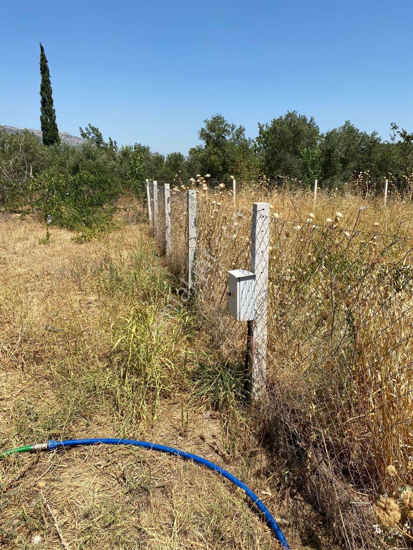 Kemalpaşa Armutlu 85. Yıl Cumhuriyet Satılık Tarla Sahibinden 487 M2 Satılık Parselli Hobi Bahçesi