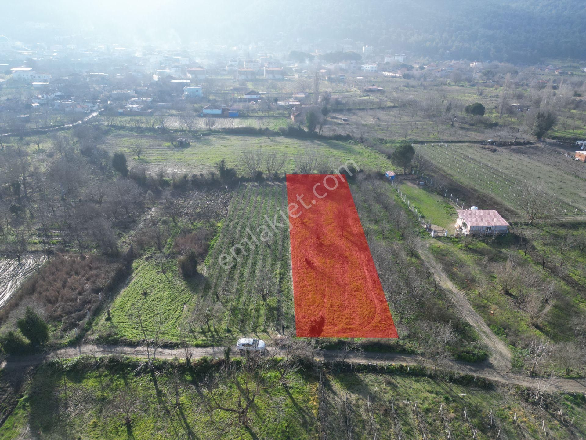 Kuşadası Kirazlı Satılık Tarla Kirazlı'da Merkeze Yürüme Mesafesinde Tarla