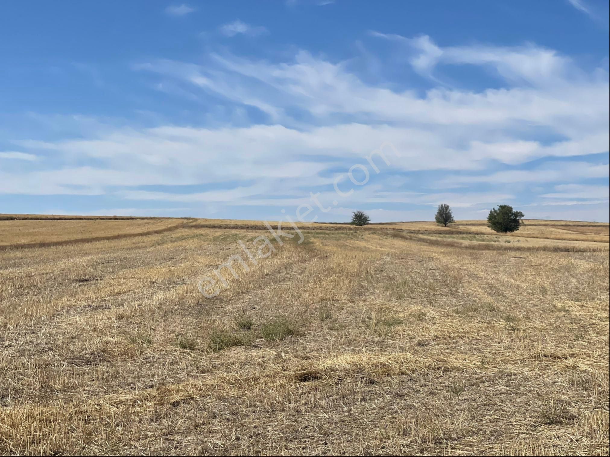 Dazkırı Esentepe Satılık Tarla Sanayi Bölgesine 3 Km 9451 M2 İlçe Merkezinde Araç Takası Olur