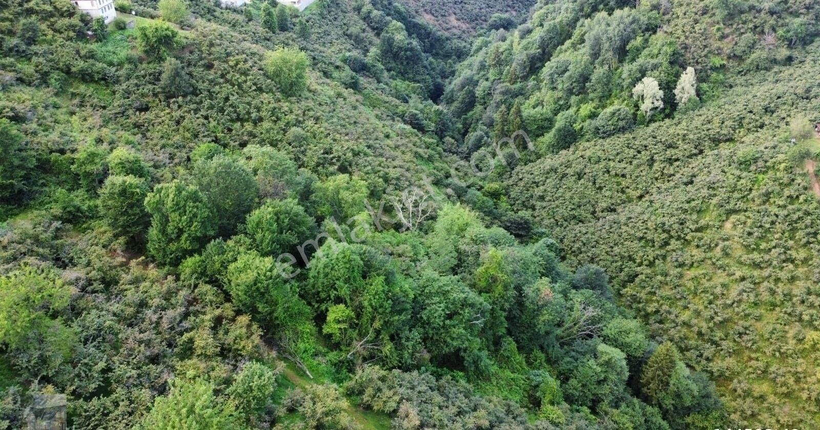 Giresun Merkez Yalı Satılık Bağ & Bahçe Yalı Mahallesinde Şehrin Yanında 4.5 Dönüm Arsa