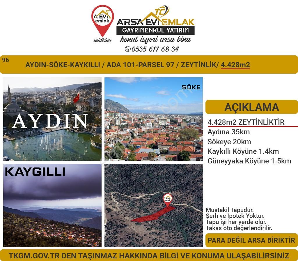 Söke Kaygıllı Satılık Zeytinlik Aydın Söke Kaykıllı Satılık 4428m2 Zeytinlik