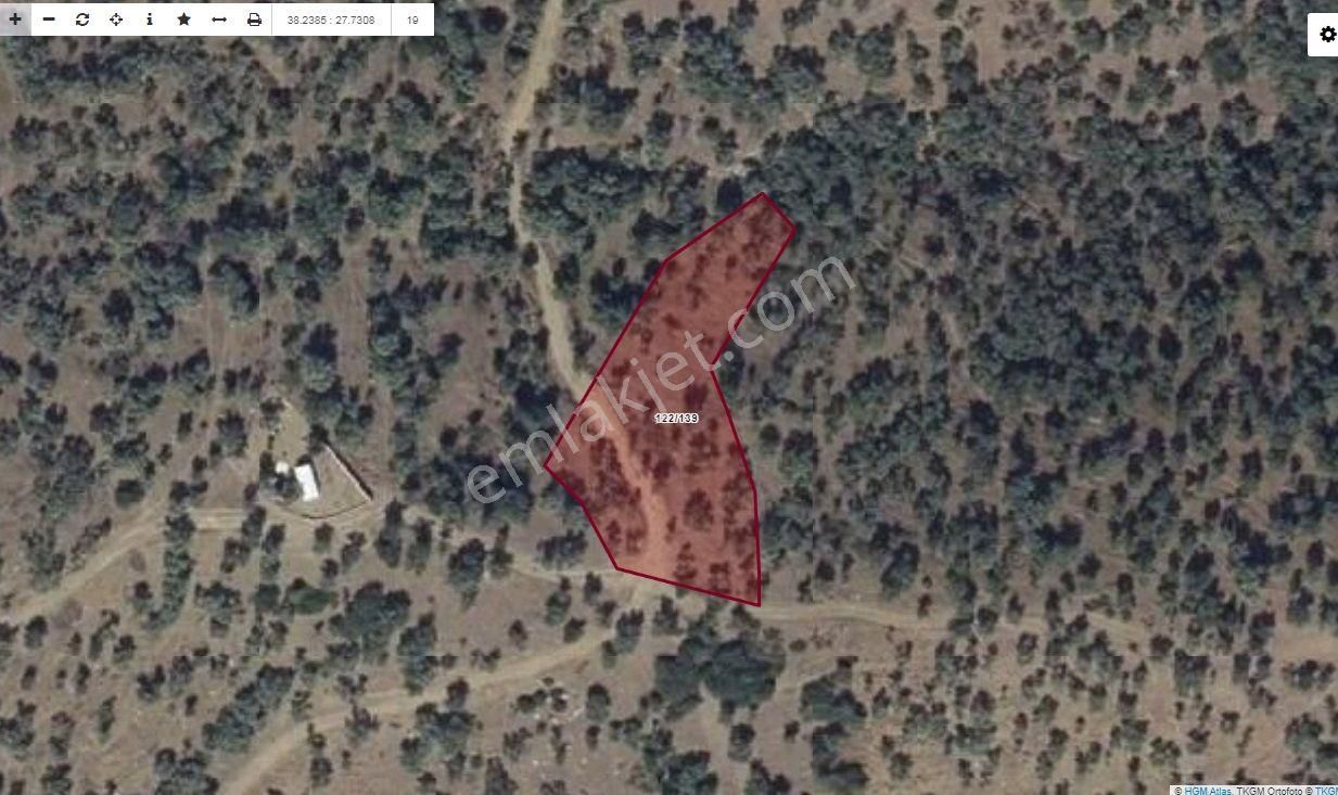 Bayındır Çenikler Köyü'nde 2354 M2 Zeytinlik - Görsel 2
