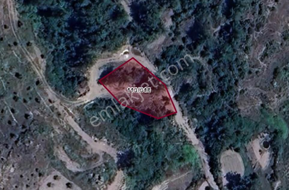 Elvan Özçelik'den Pınararasında Kadastral Yolu Olan Tarla - Görsel 2