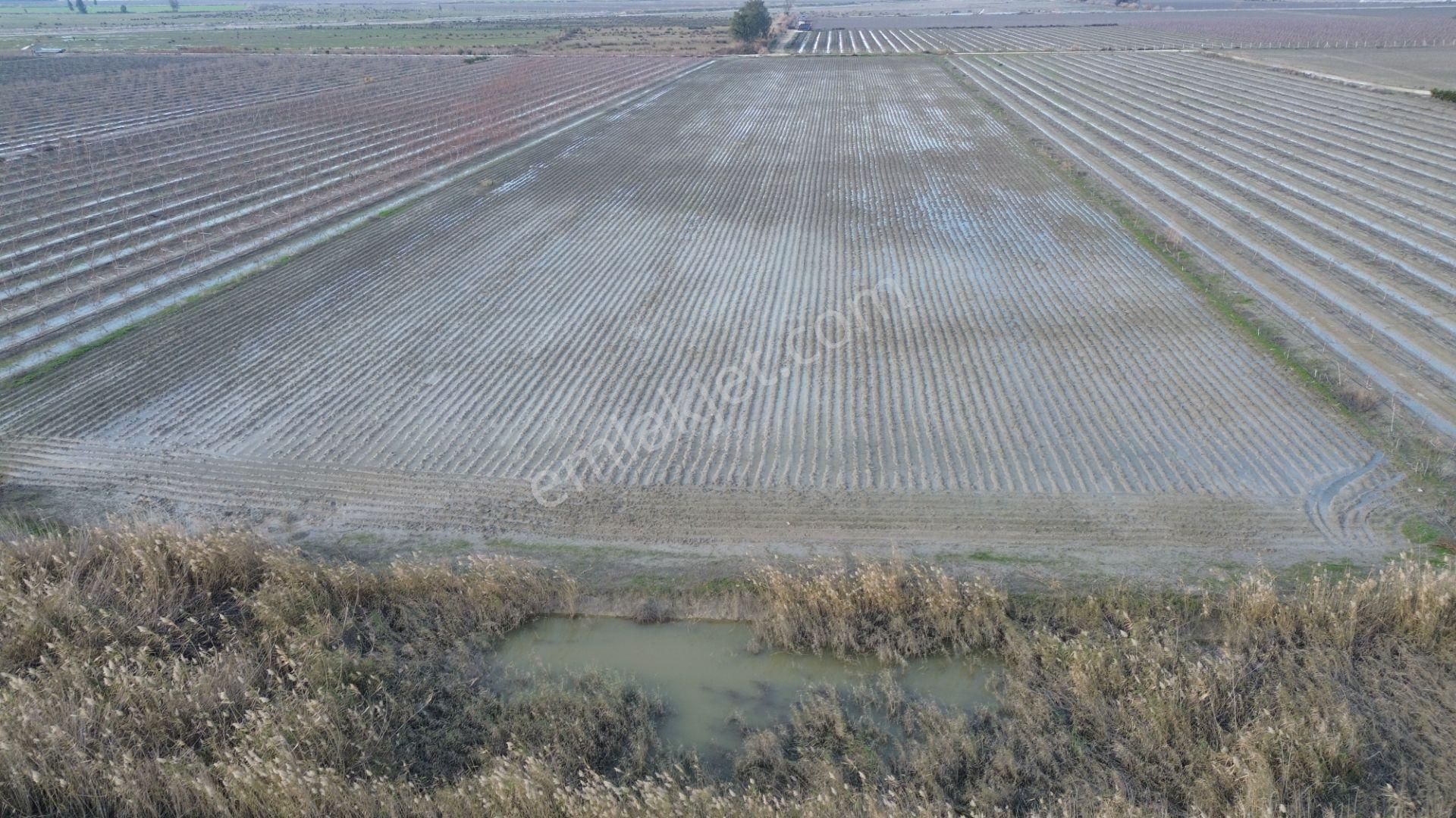 Tarsus Ağzıdelik Satılık Tarla Ağzıdelik Köyünde Tarsus Ck Emlak'tan 24.108 M2 Satılık Tarla