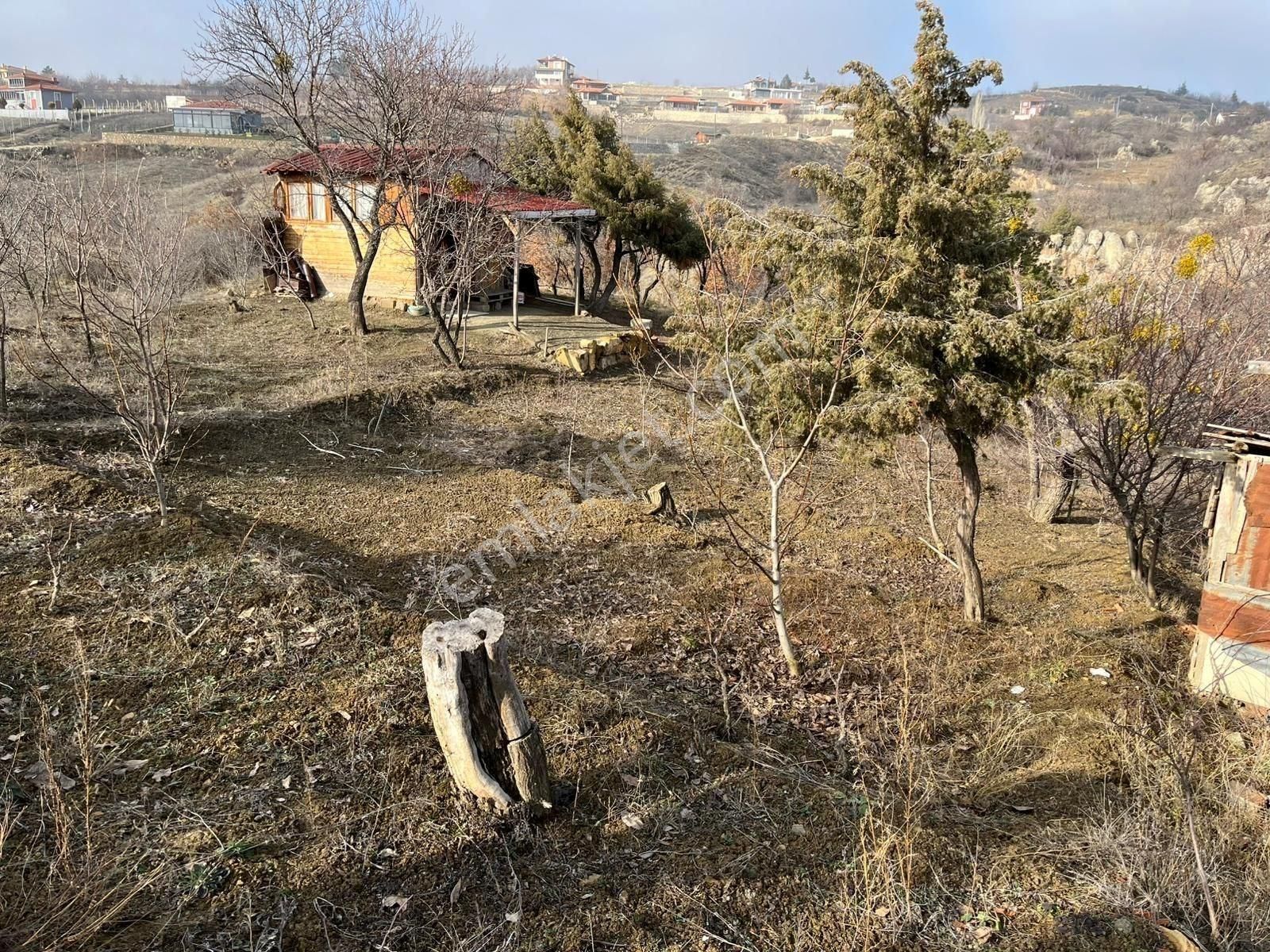 Çorum Merkez Büğet Köyü Satılık Bağ & Bahçe Büğet Köyü Çorum Barajı Manzaralı Tek Tapu Satılık Bağ Arsası