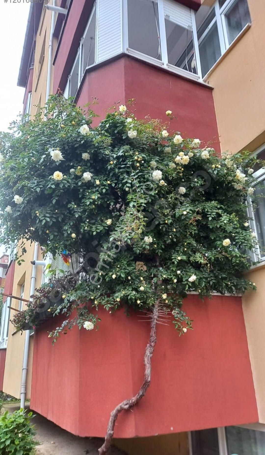 Maltepe Altayçeşme Satılık Daire Mükemmel Konumda Satılık Daire