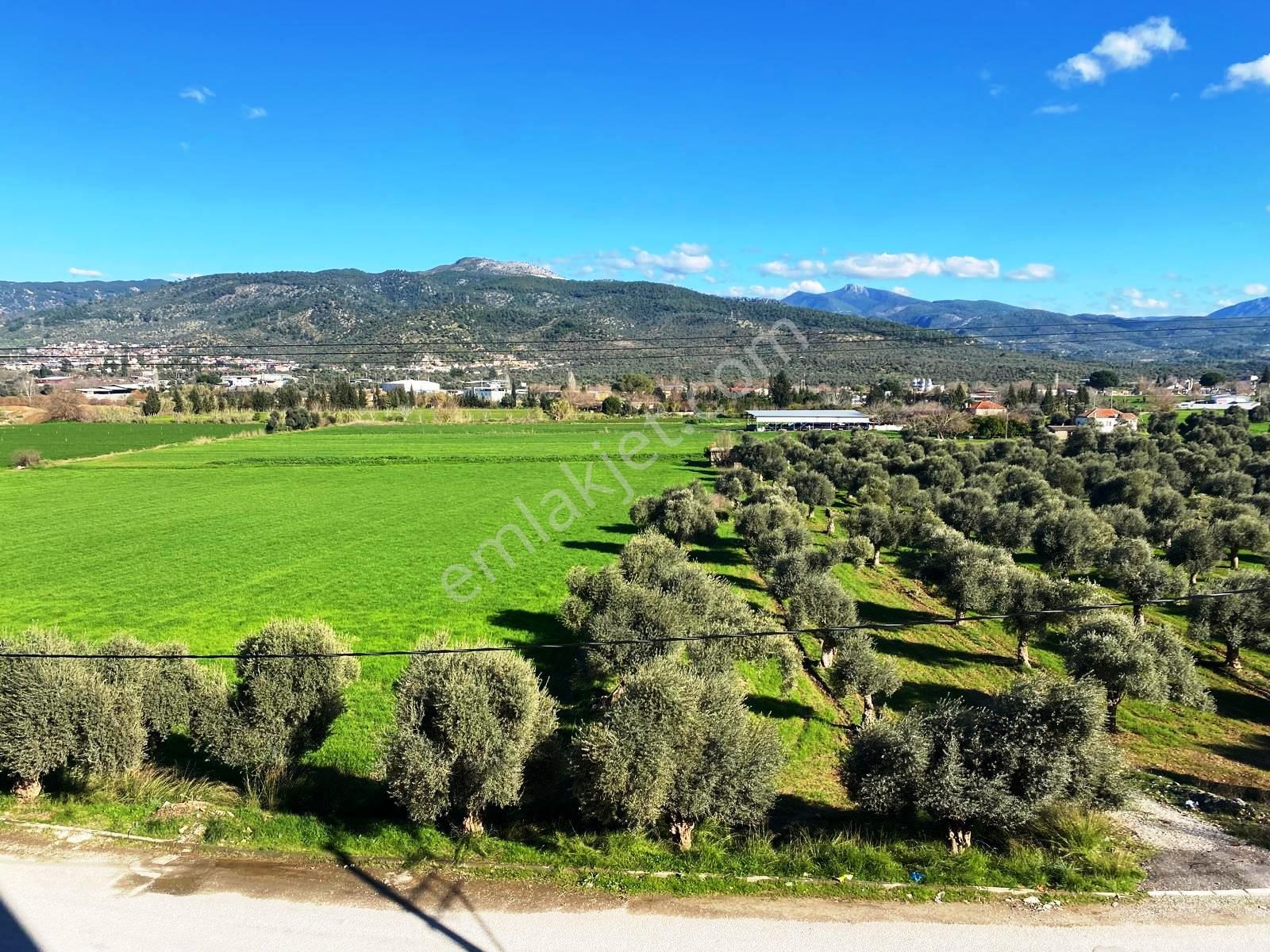 Milas Burgaz Satılık Daire Bodrum Milas'ta Doğa Manzaralı, Geniş Ve Ferah 2+1 Sıfır Daire