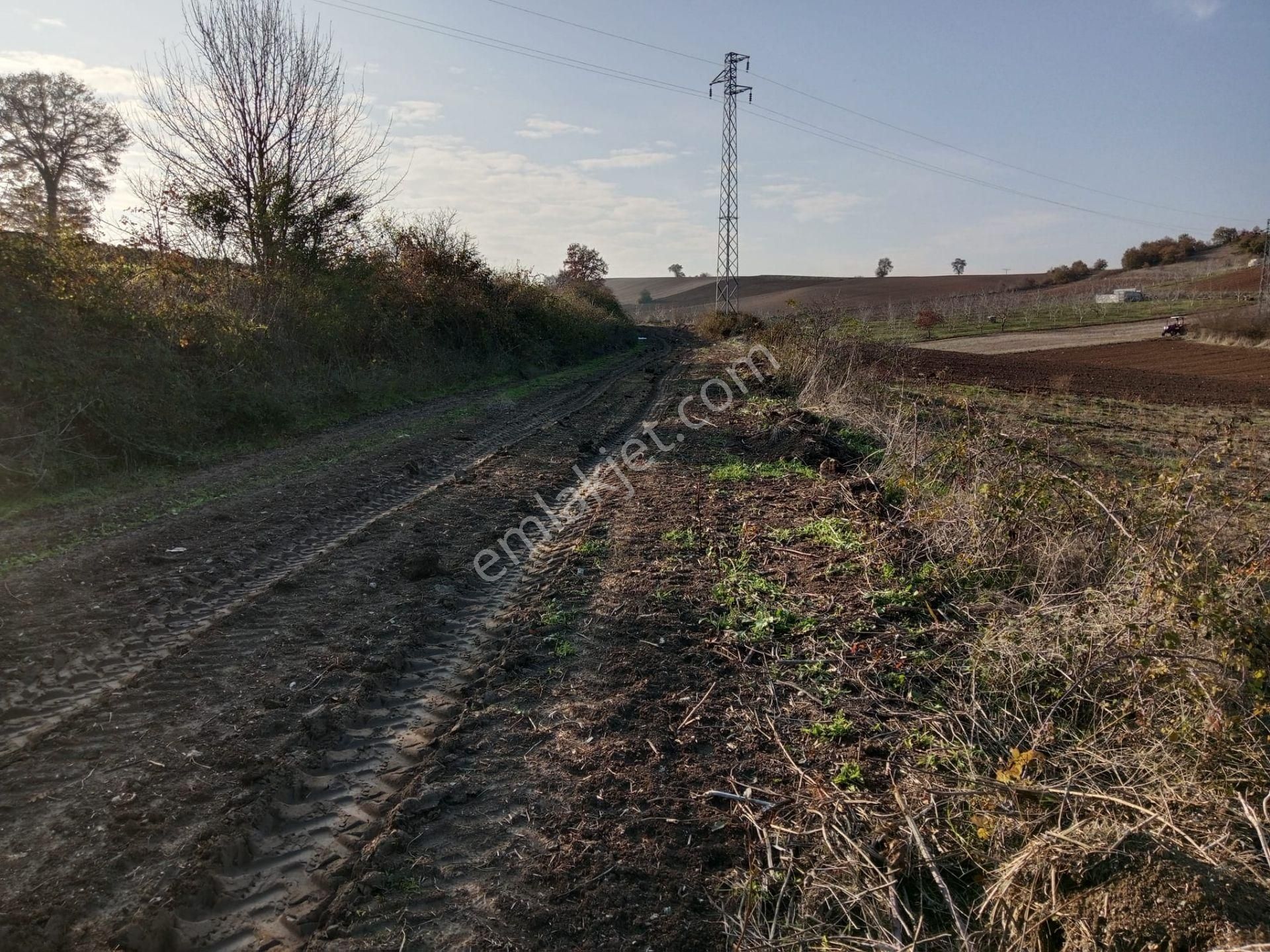 Tek Tapu Satılık Yatırımlık Tarla - Görsel 2