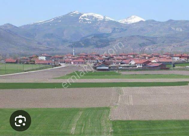 Sincan Anayurt Satılık Tarla Sıncan Anayurt Tek Tapu Kök Tapulu Satılık Tarla