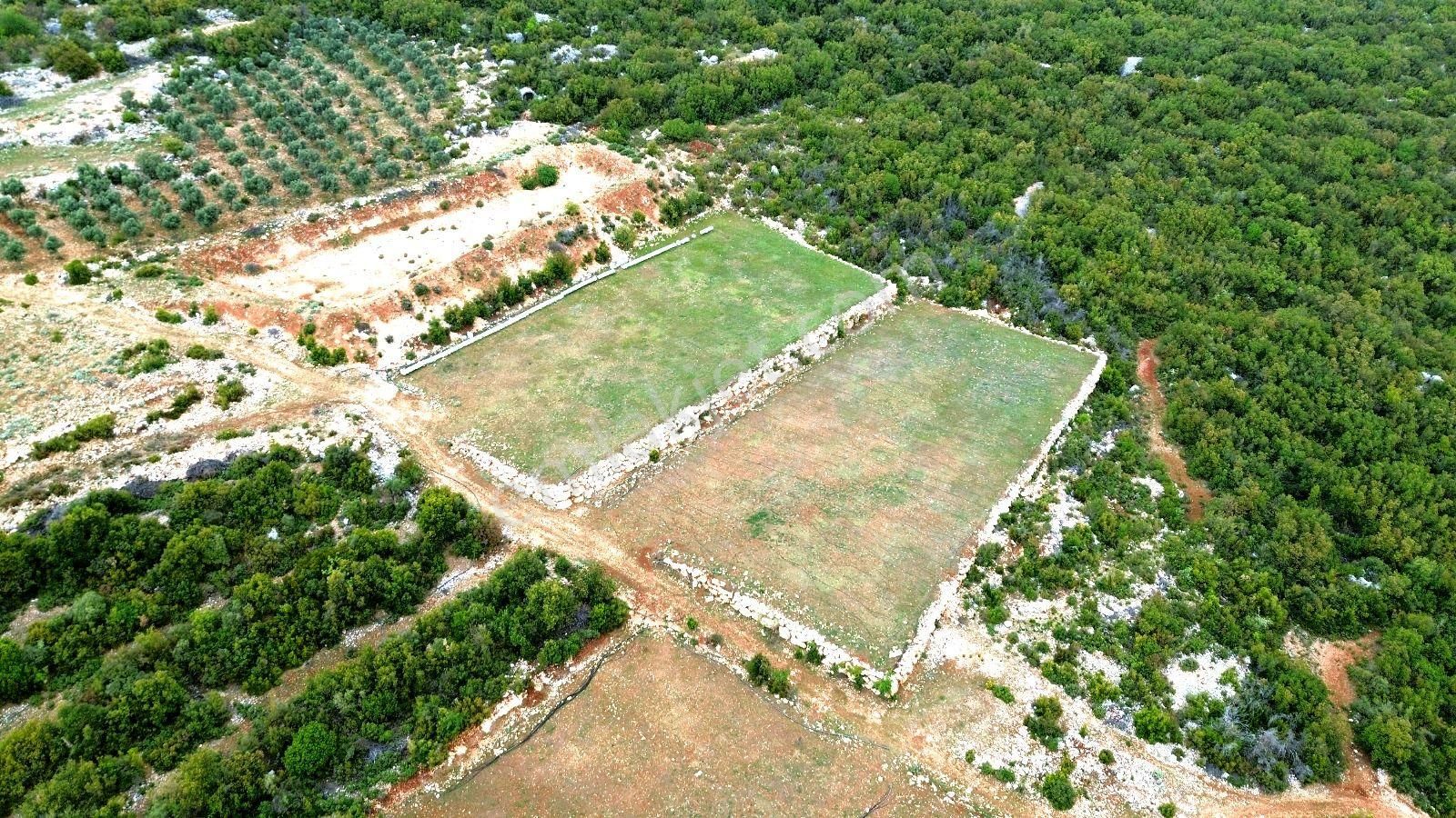 Erdemli Veyselli'de Satılık İmarlı Düz Tarla: 2 Tapu, 2 Havuz, Toplam 11.137 M²! - Görsel 8