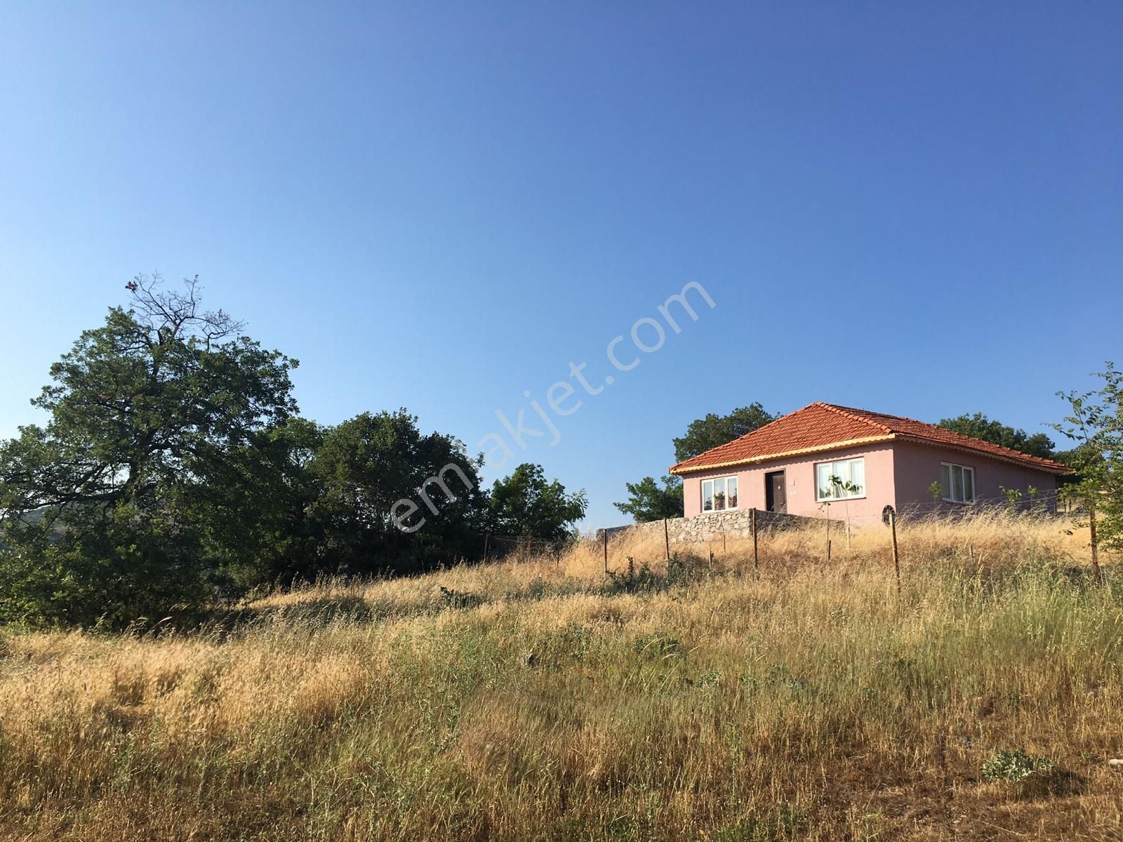 Balıkesir Sındırgı'da İçerisinde Müstakil Evi Ve Kuyusu Bulunan Satılık 1.6 Dönüm Tarla
