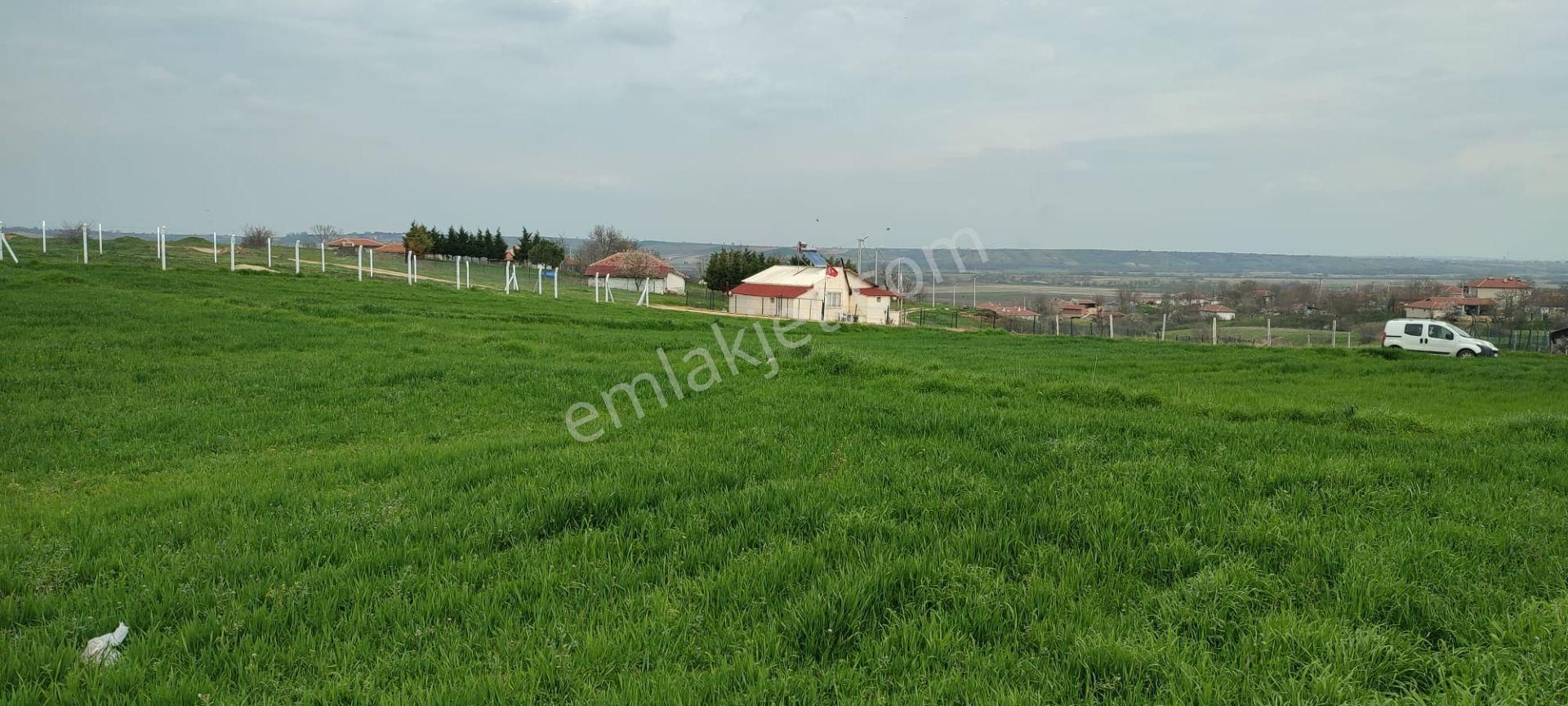 Hayrabolu Kadriye Satılık Konut İmarlı Tekirdağ Hayraboluda İmarlı İfrazlı Müstakil Satılık Arsa Uygun Fiyatlı Yatırımlık !