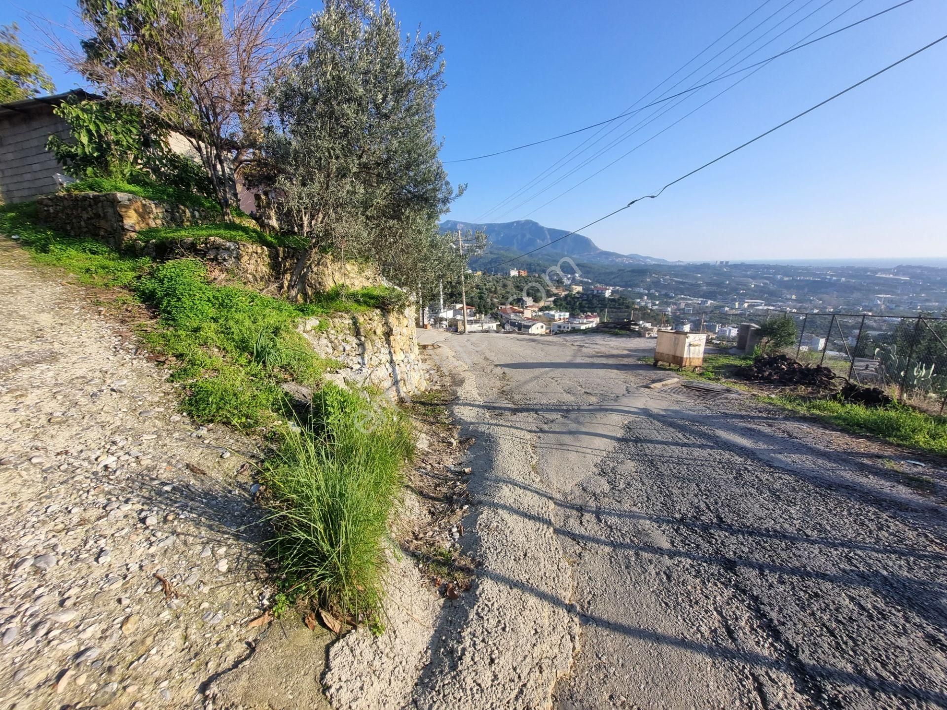 Alanya Değirmendere Mahallesi'nde Satılık 2 Katlı Müstakil Ev Ve 1 Dönüm Arsa - Görsel 25