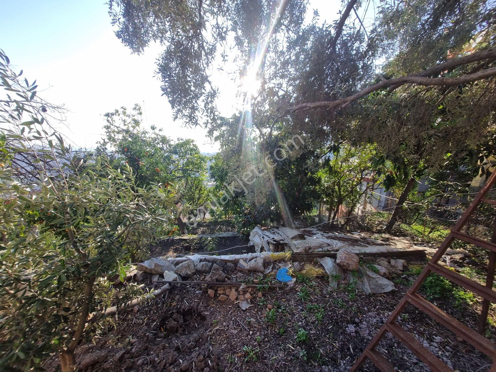 Alanya Değirmendere Mahallesi'nde Satılık 2 Katlı Müstakil Ev Ve 1 Dönüm Arsa - Görsel 11