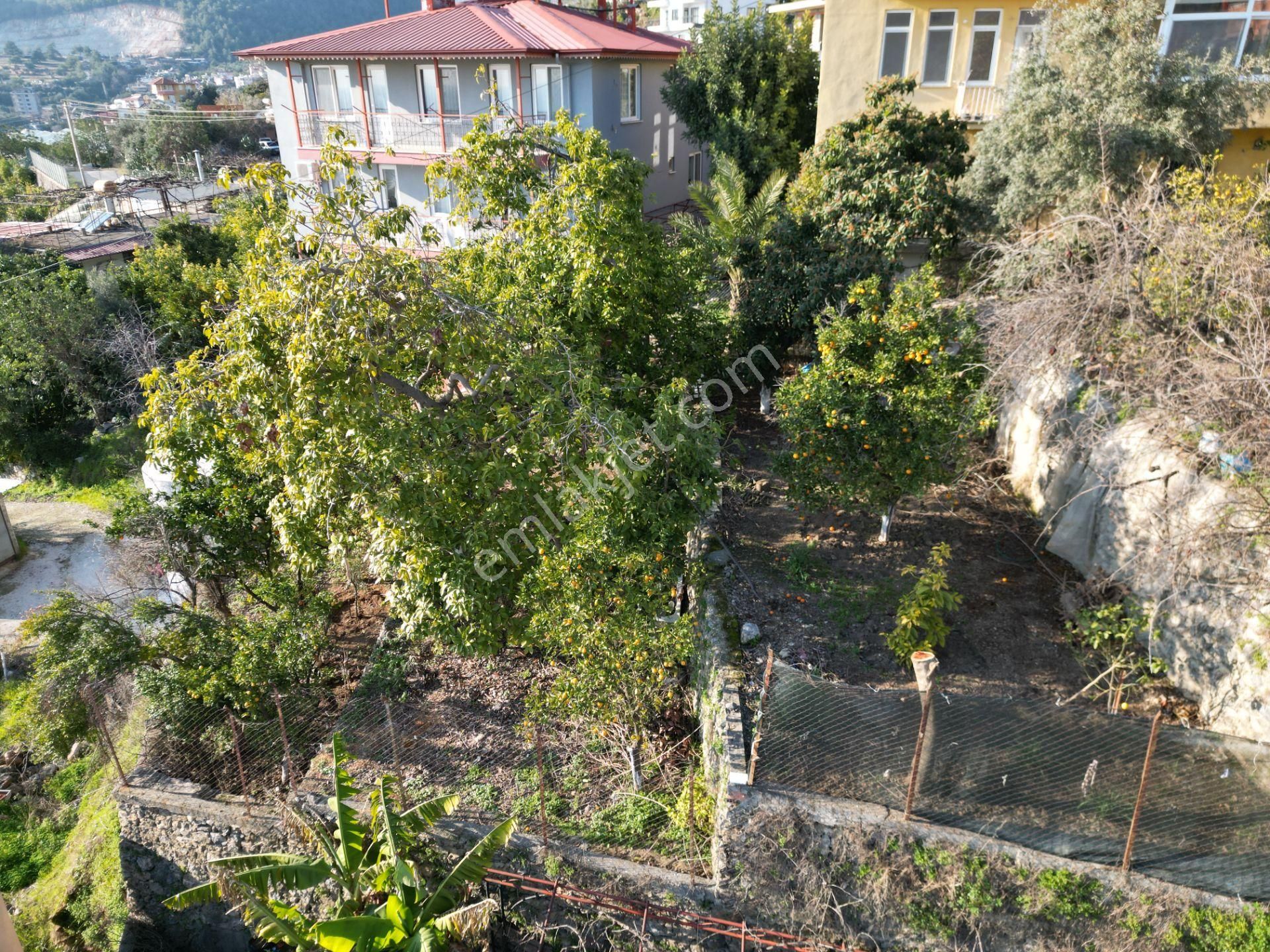 Alanya Değirmendere Mahallesi'nde Satılık 2 Katlı Müstakil Ev Ve 1 Dönüm Arsa - Görsel 4