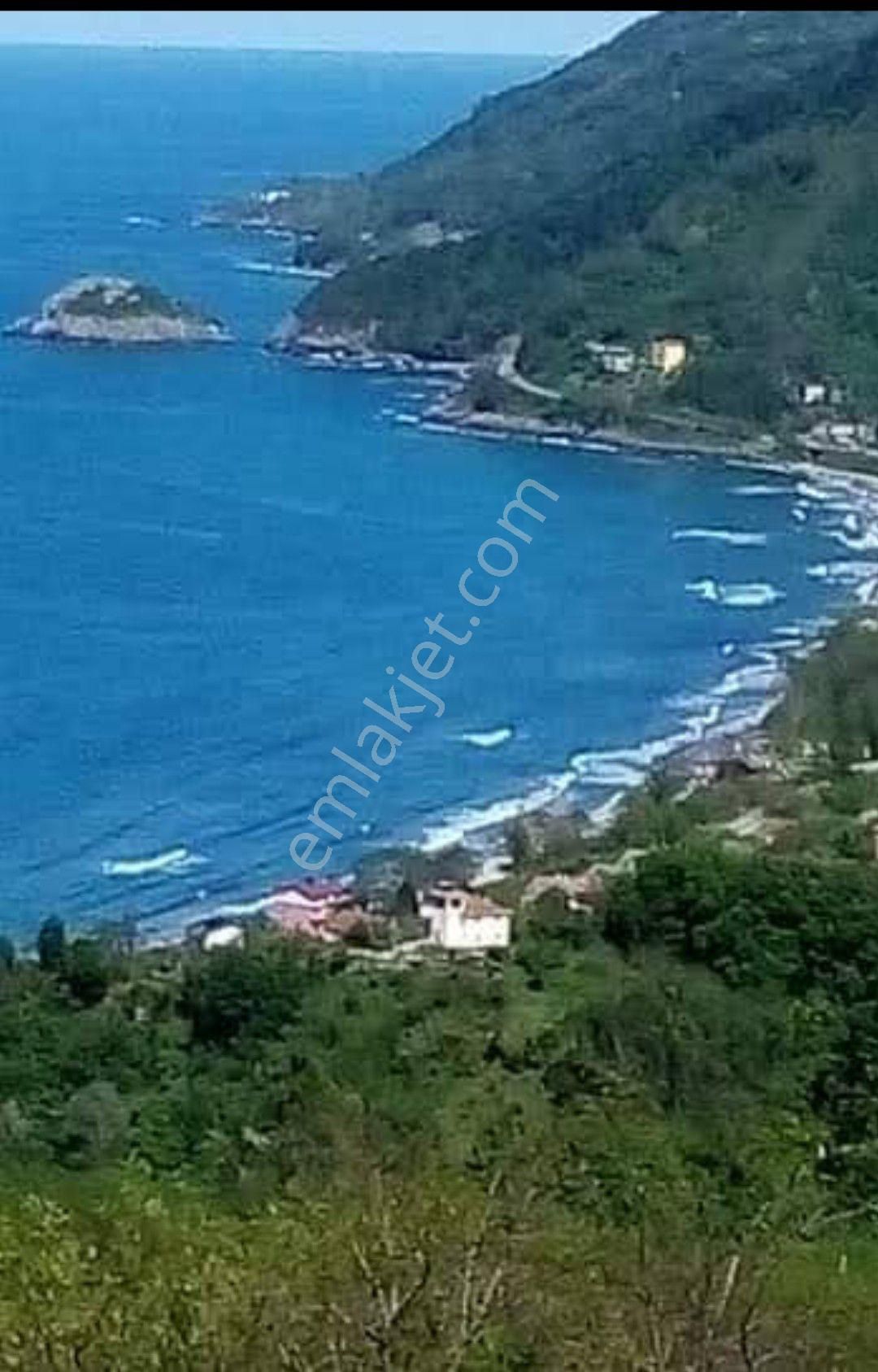 Perşembe Çaytepe Mahallesinde Satılık 4500m2 İmarlı Bahçe - Görsel 9