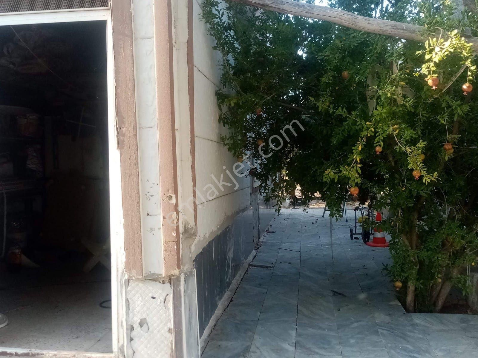 Kılıçoğlu Emlaktan Satılık Bağ Evi Küçük Ziyarette - Görsel 10
